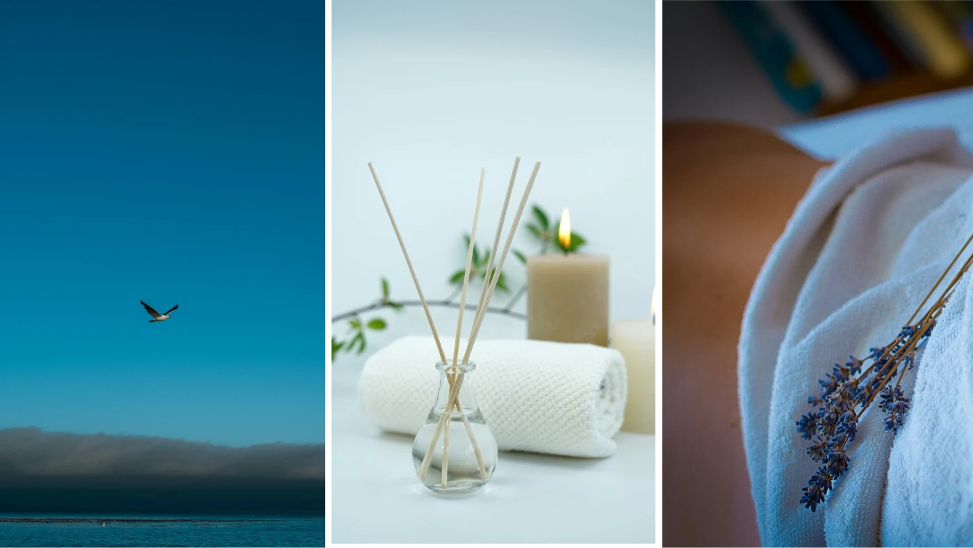 Логотип "Крылья океана" — Изображение №3 — Брендинг на Dprofile