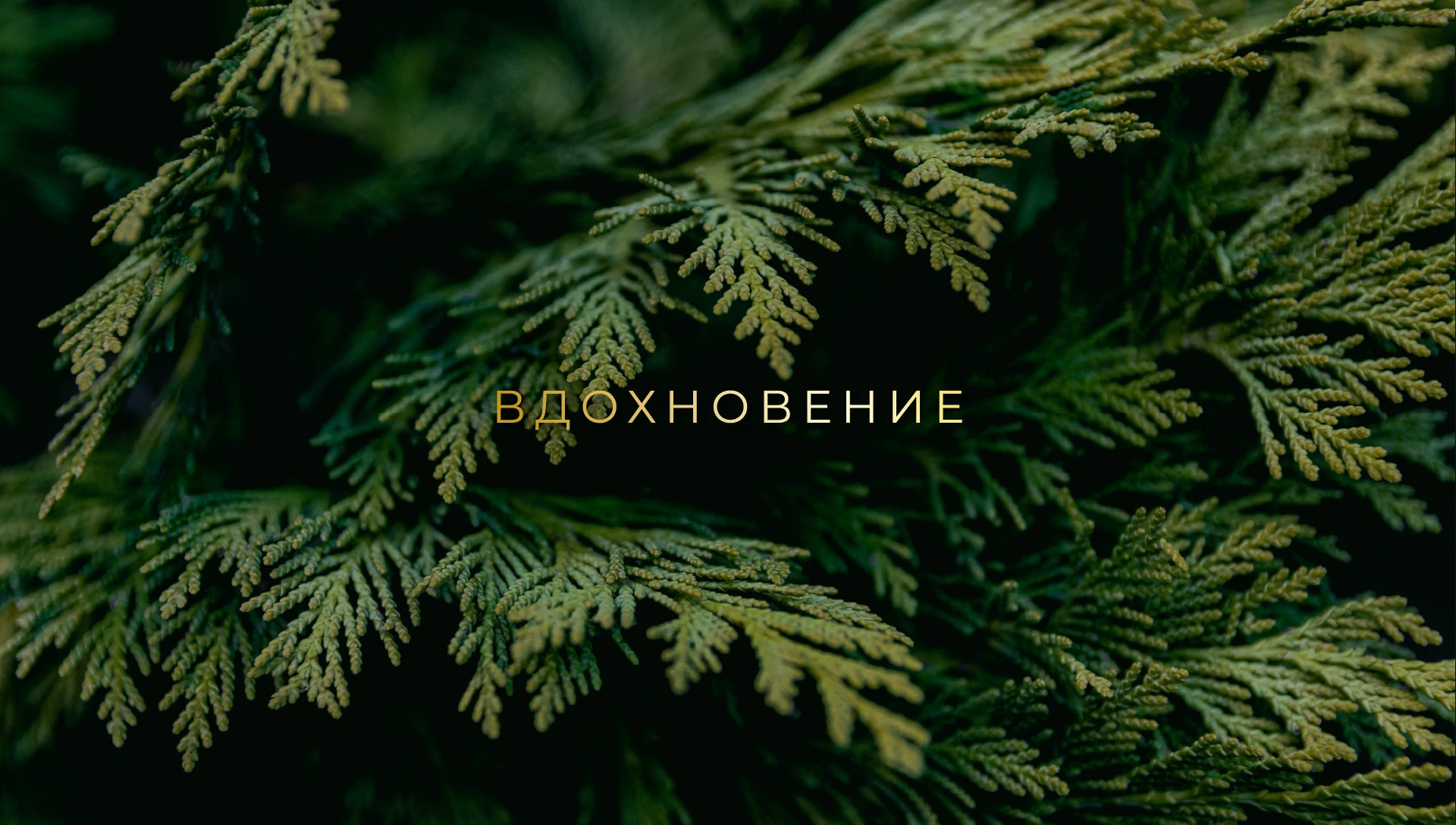 Концепция визуальной идентификации для нутрициолога — Изображение №8 — Брендинг на Dprofile
