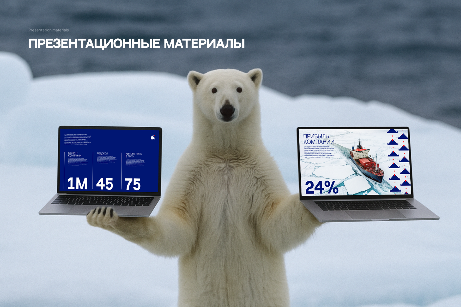 Arctic China logistics — Изображение №9 — Брендинг на Dprofile