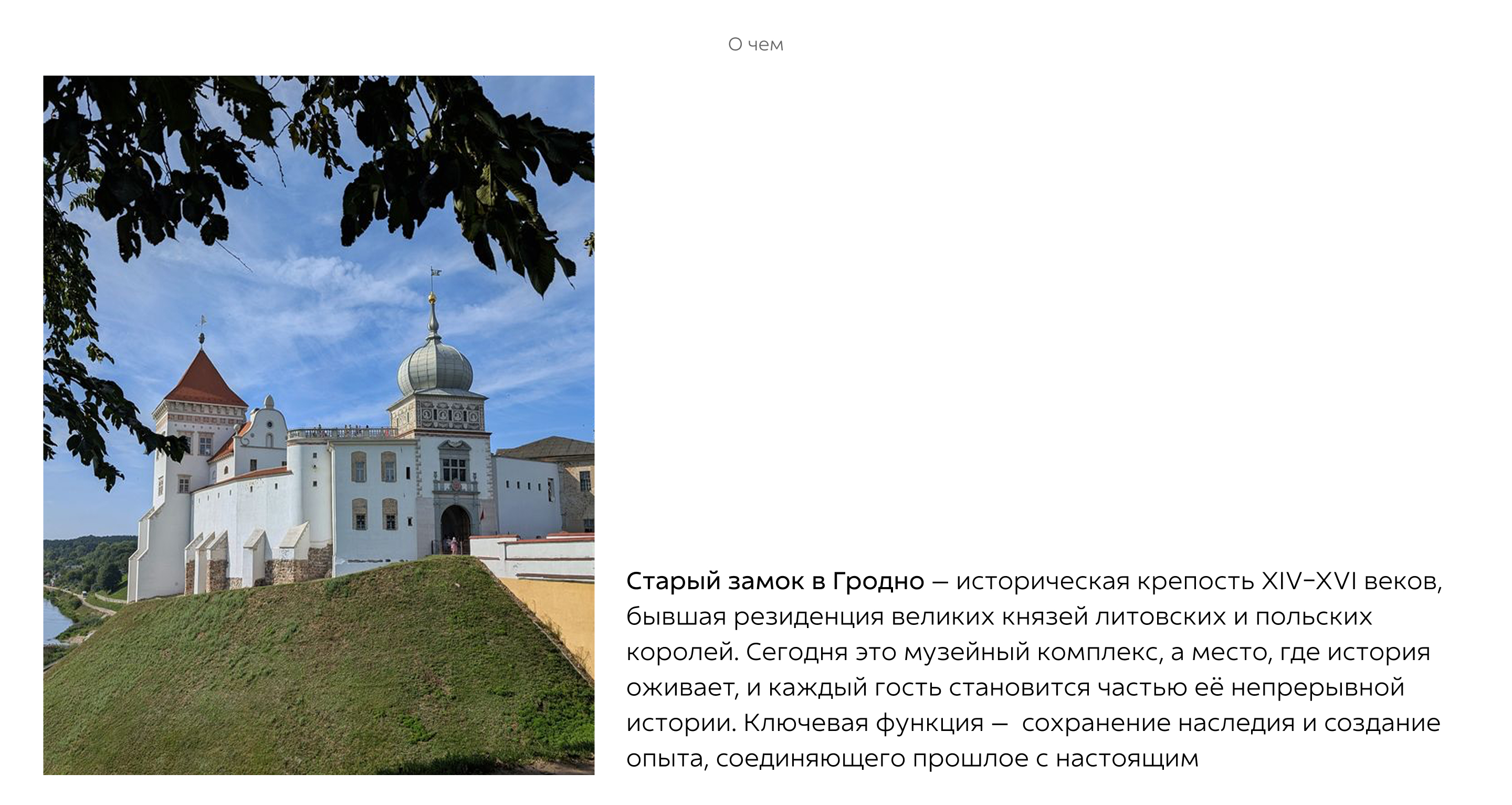 Брендинг/branding "Старый замок" — Изображение №2 — Брендинг на Dprofile