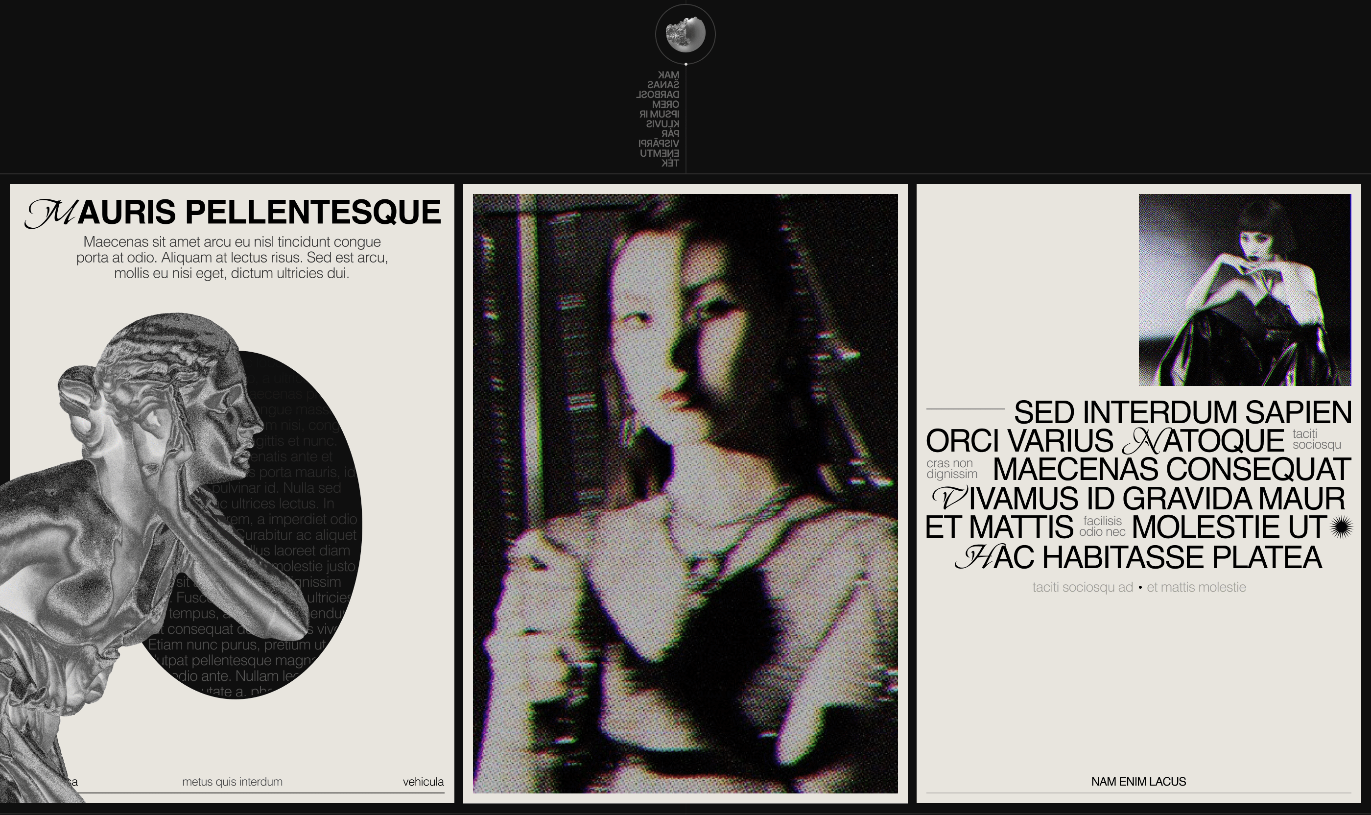 Fashion&Photo-art Magazine — Изображение №5 — Интерфейсы, Брендинг на Dprofile