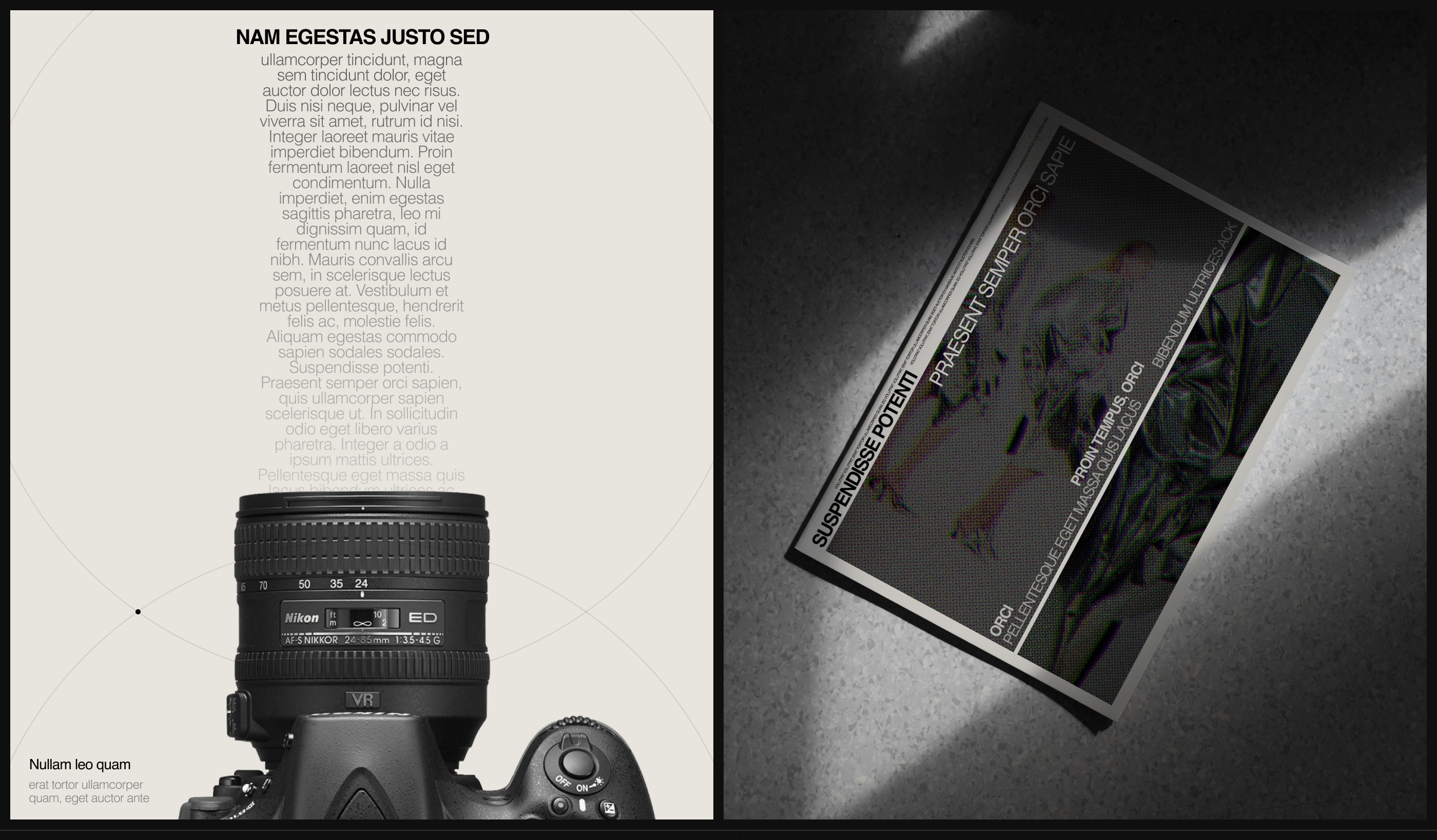 Fashion&Photo-art Magazine — Изображение №10 — Интерфейсы, Брендинг на Dprofile