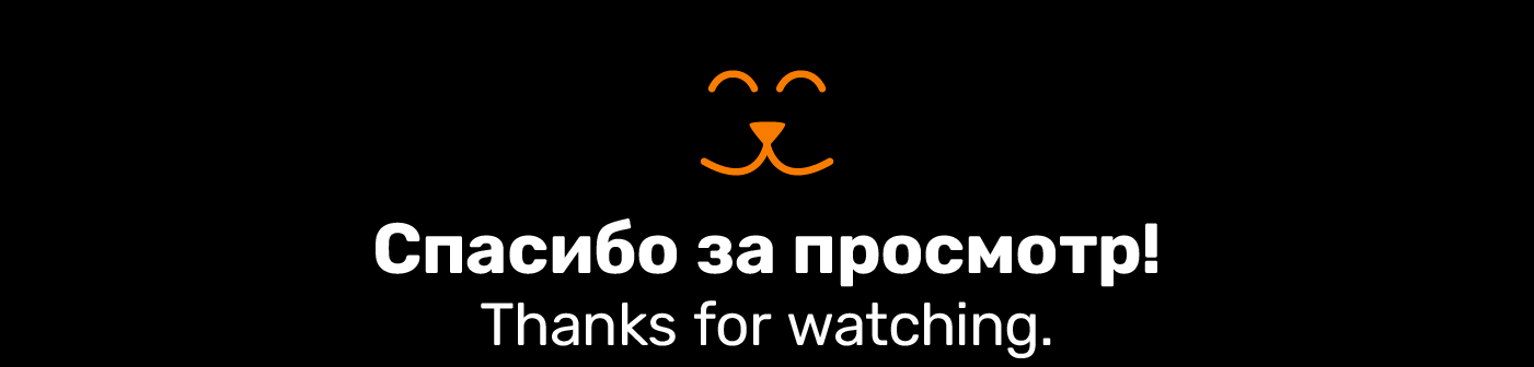 Благотворительный фонд помощи бездомным животным — Изображение №11 — Брендинг, Анимация на Dprofile