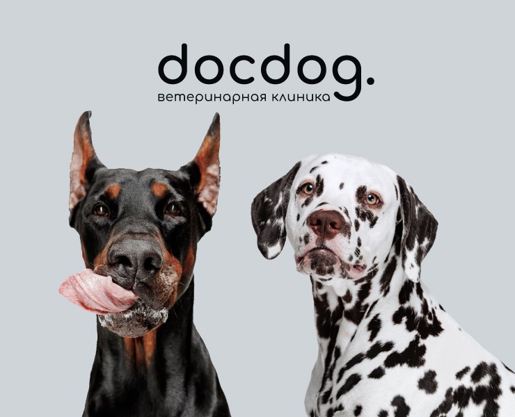 docdog. Логотип для ветеринарной клиники — Брендинг на Dprofile