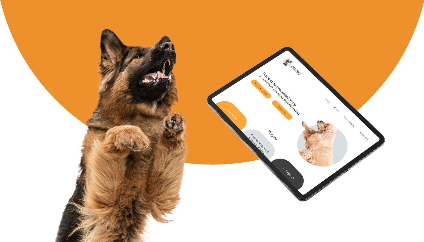 docdog. Логотип для ветеринарной клиники — Изображение №10 — Брендинг на Dprofile