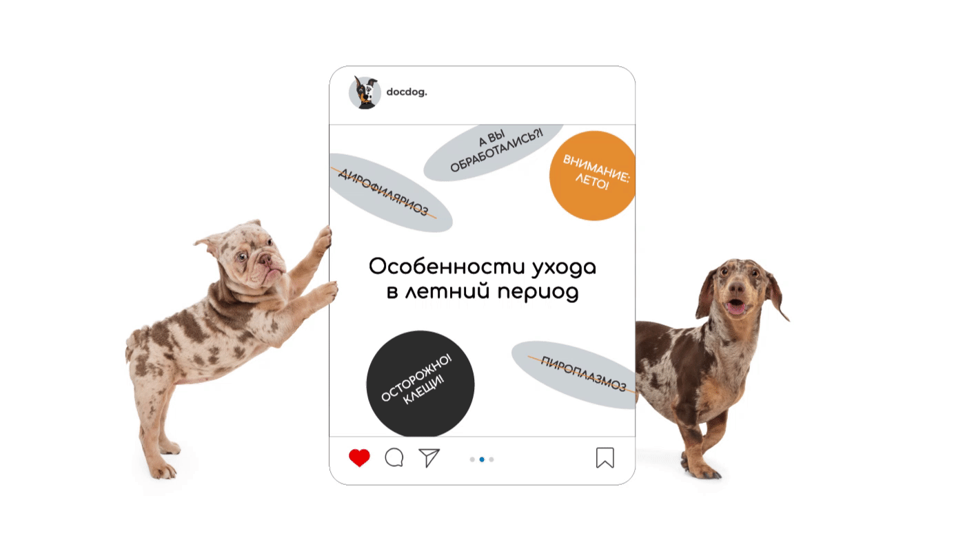 docdog. Логотип для ветеринарной клиники — Изображение №13 — Брендинг на Dprofile