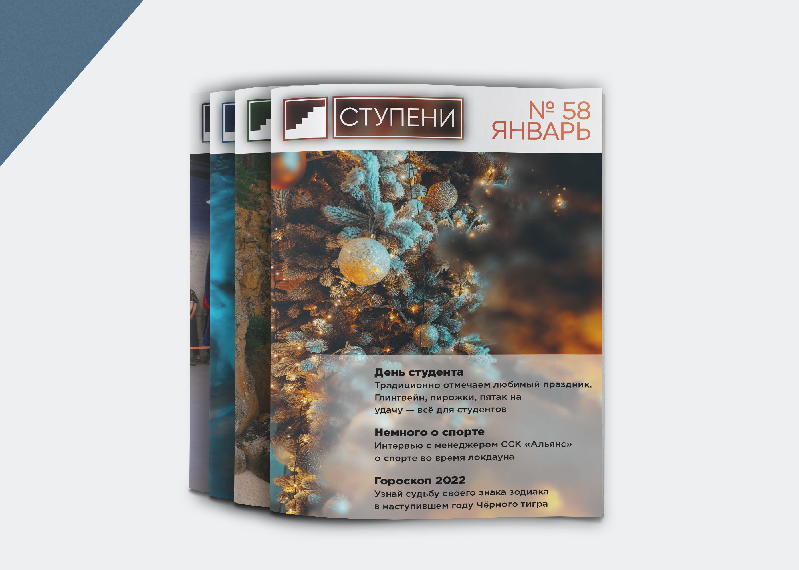Журнал «Ступени» — Изображение №3 — Брендинг, Графика на Dprofile