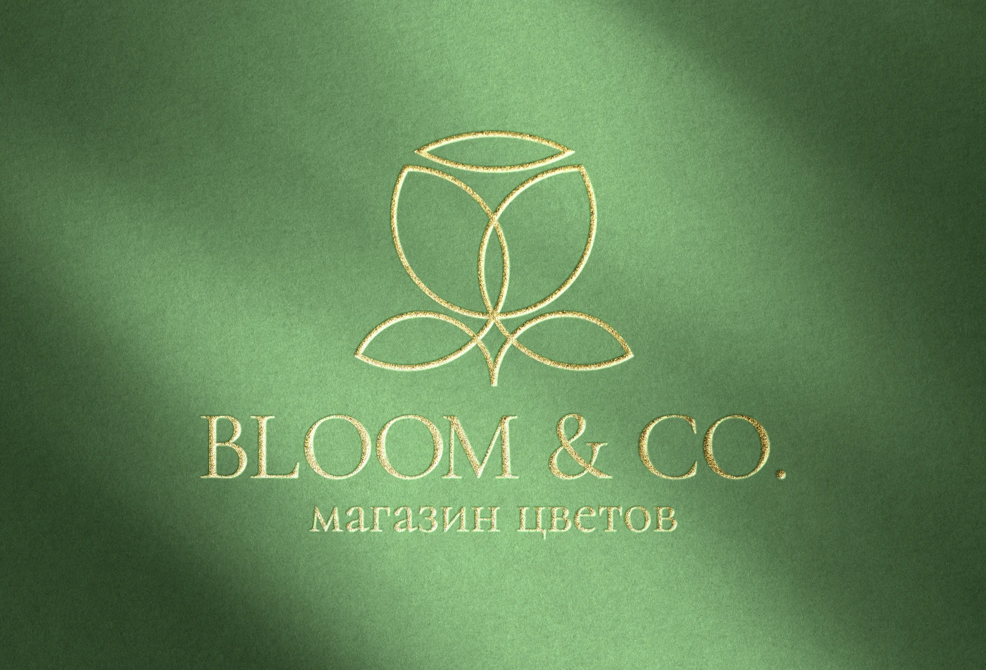 Разработка минималистичного логотипа Bloom & Co. — Изображение №4 — Брендинг на Dprofile