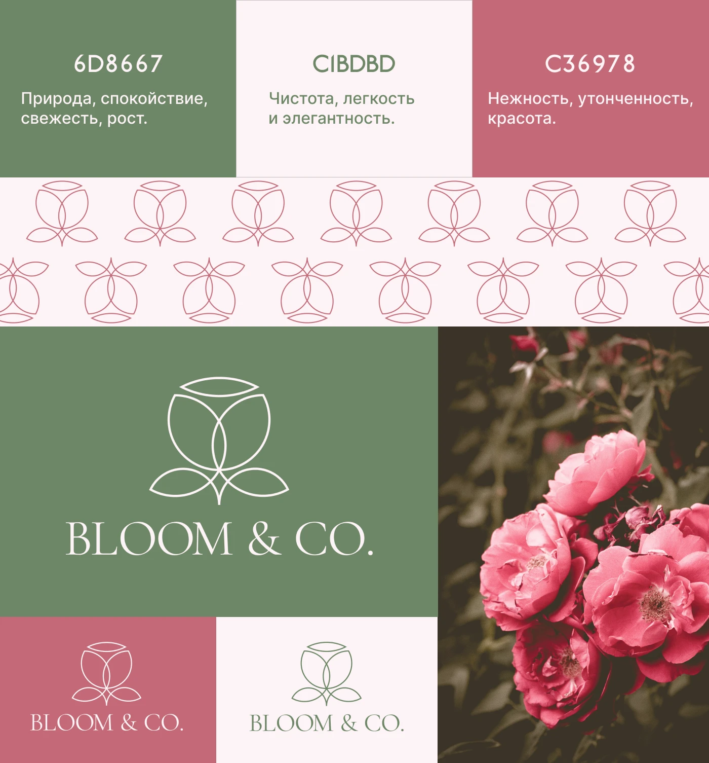 Разработка минималистичного логотипа Bloom & Co. — Изображение №3 — Брендинг на Dprofile