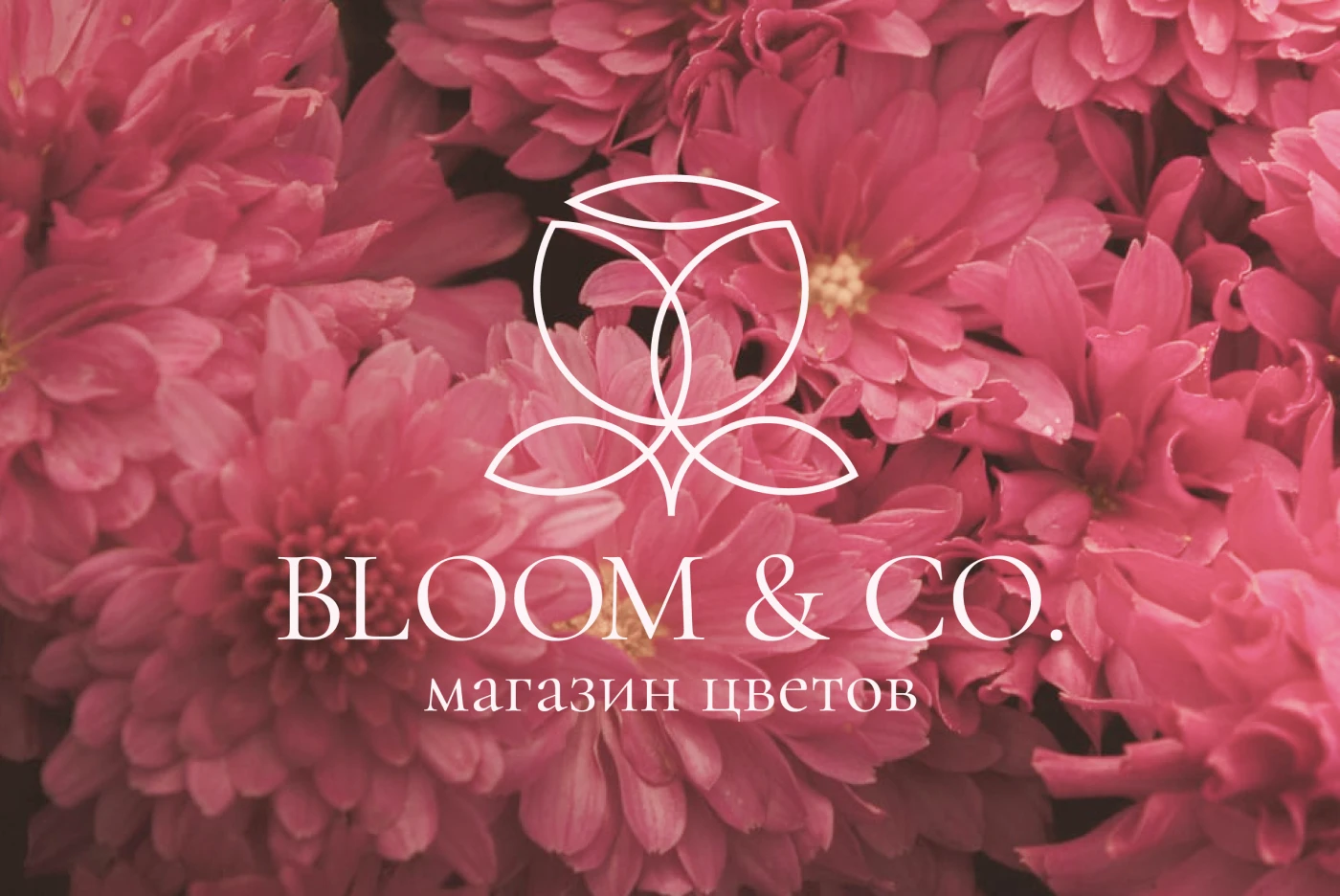 Разработка минималистичного логотипа Bloom & Co. — Изображение №1 — Брендинг на Dprofile