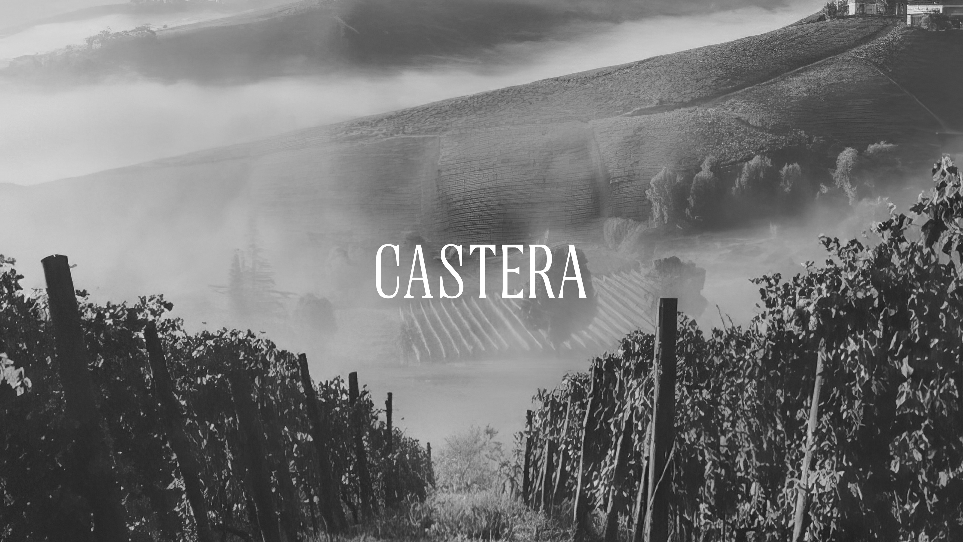 CASTERA|бутик отель, фирменный стиль — Изображение №2 — Брендинг, Графика на Dprofile