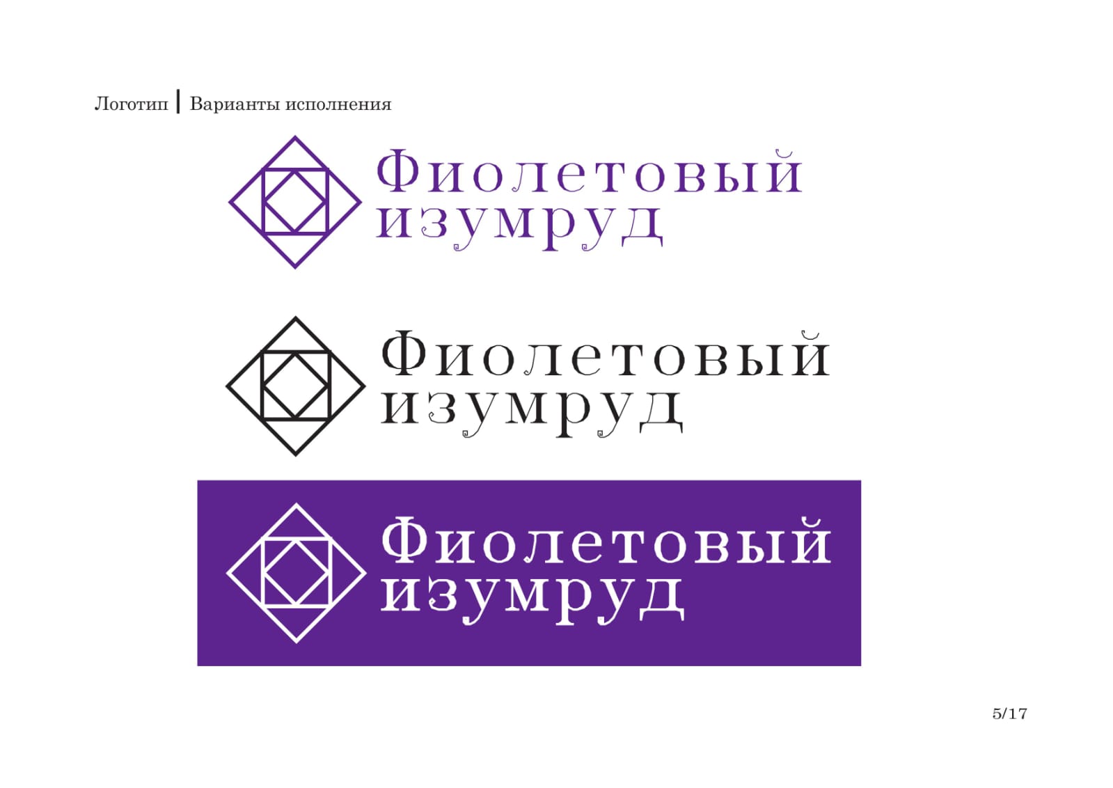 Ювелирный салон "Фиолетовый изумруд" брендбук — Изображение №5 — Интерфейсы на Dprofile