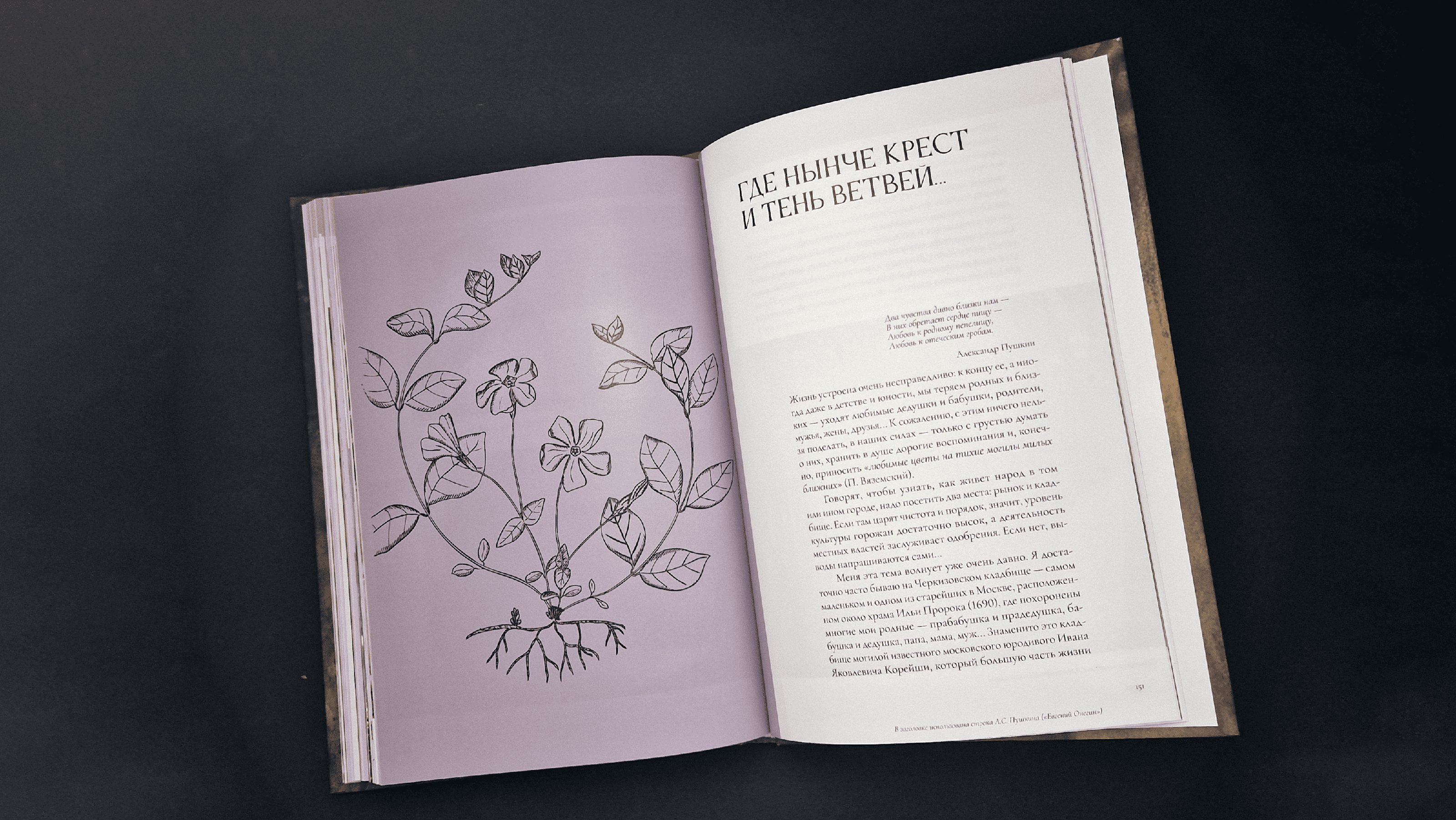 Книга «Ностальгия по старому саду, или цветы без разбору» — Изображение №5 — Графика на Dprofile