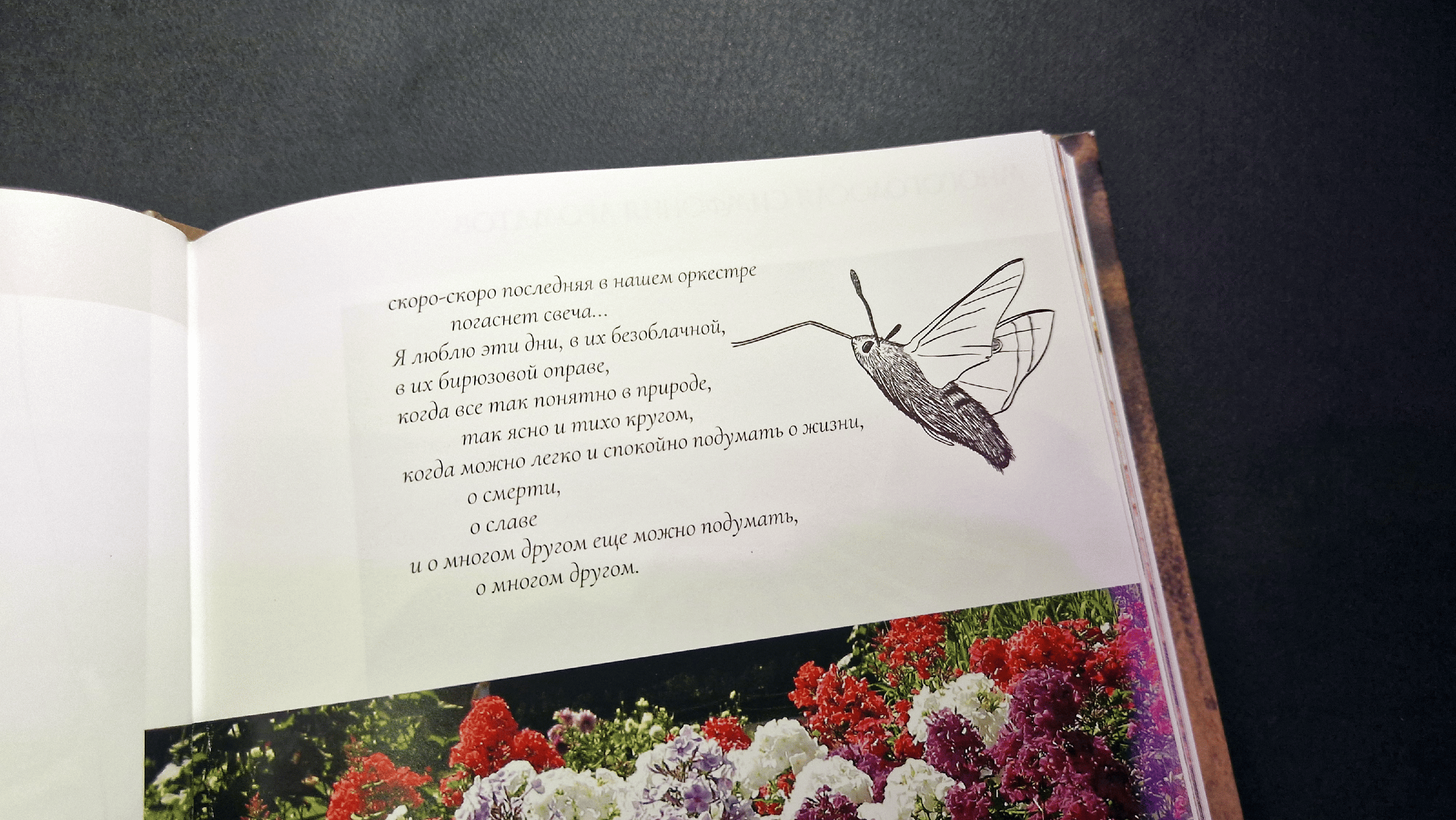 Книга «Ностальгия по старому саду, или цветы без разбору» — Изображение №7 — Графика на Dprofile