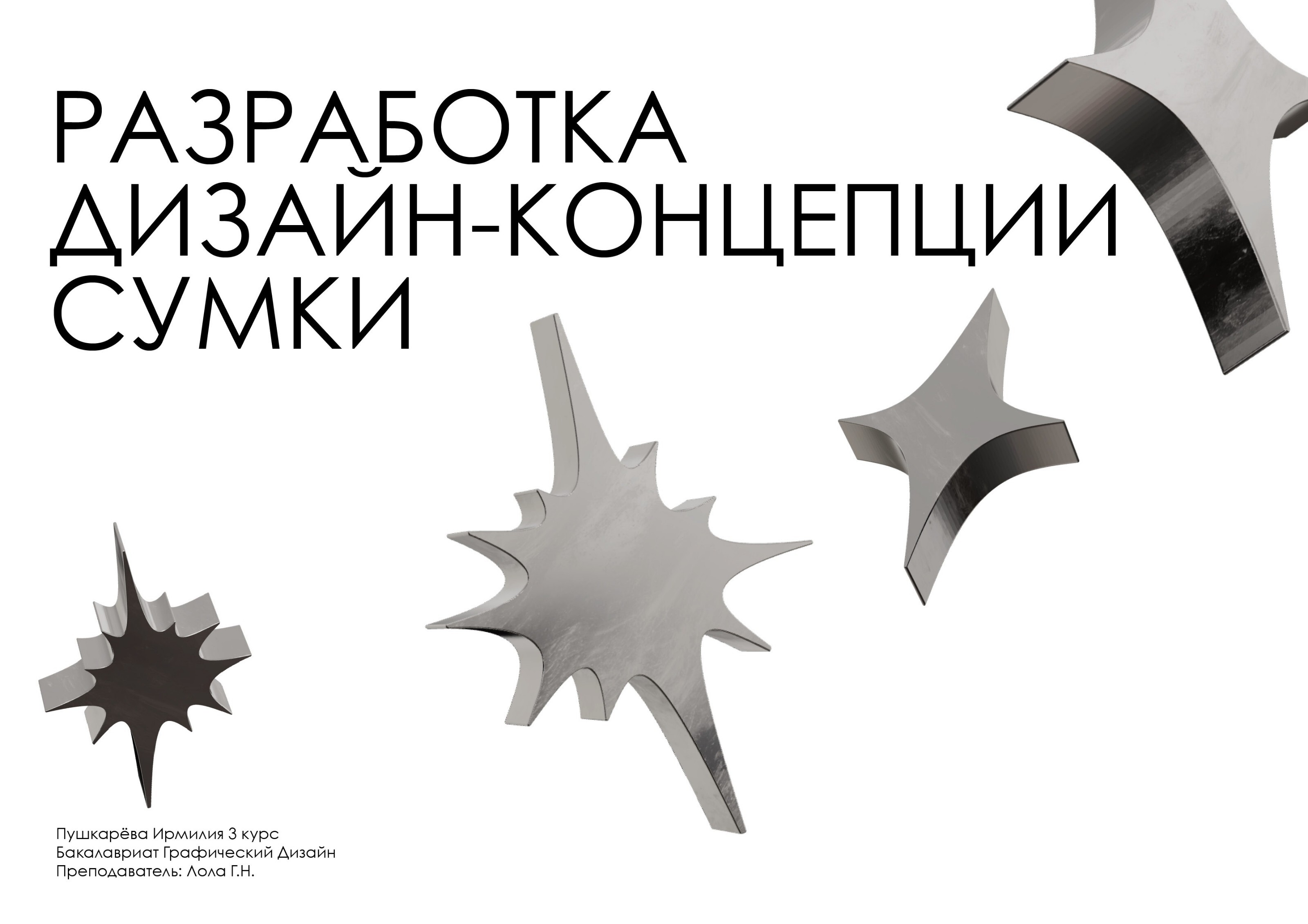 Дизайн-концепция сумки 2023 — Изображение №1 — Брендинг, Графика на Dprofile