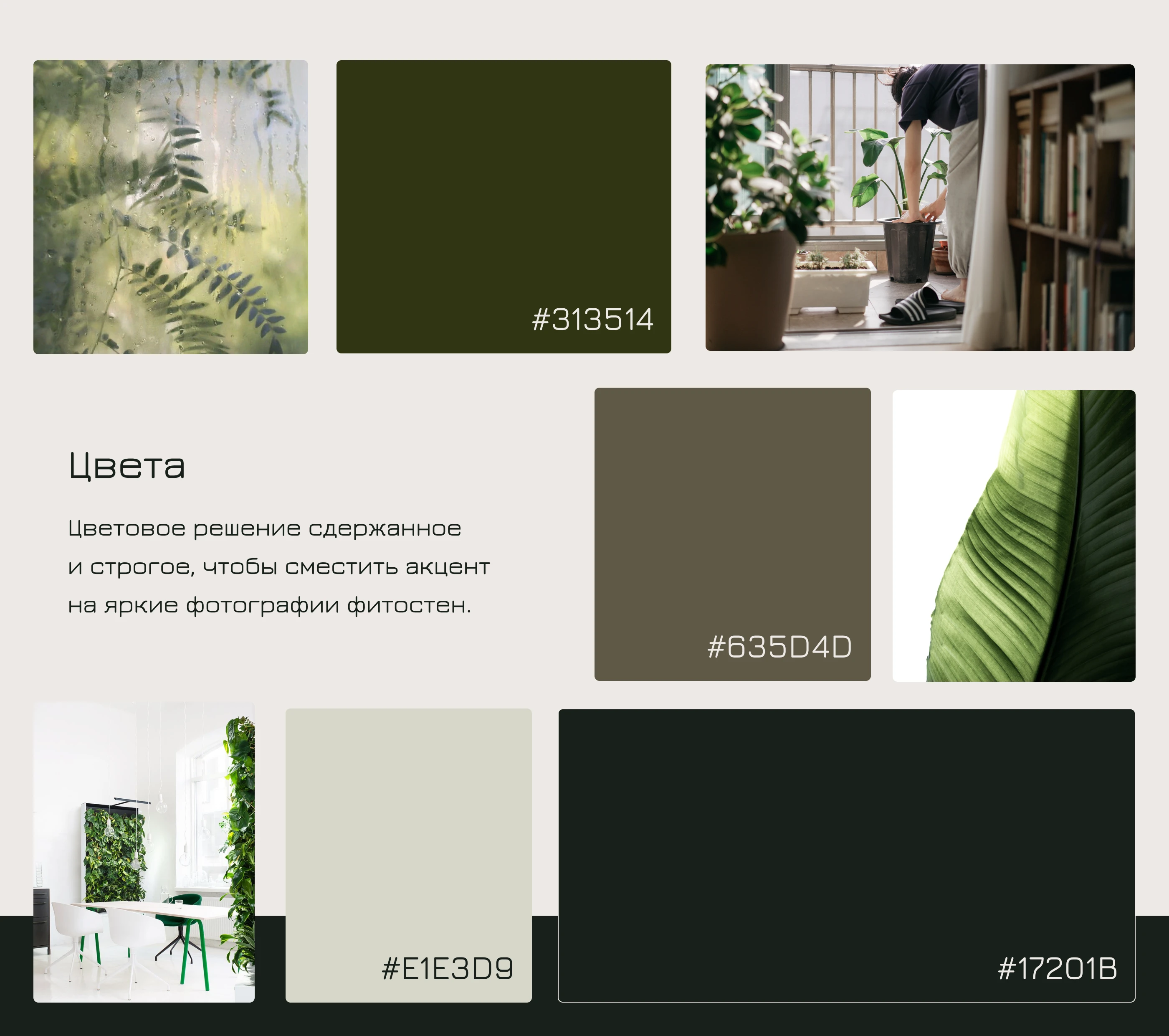 СТЕБЛИ | Landing page — Изображение №4 — Интерфейсы, Брендинг на Dprofile