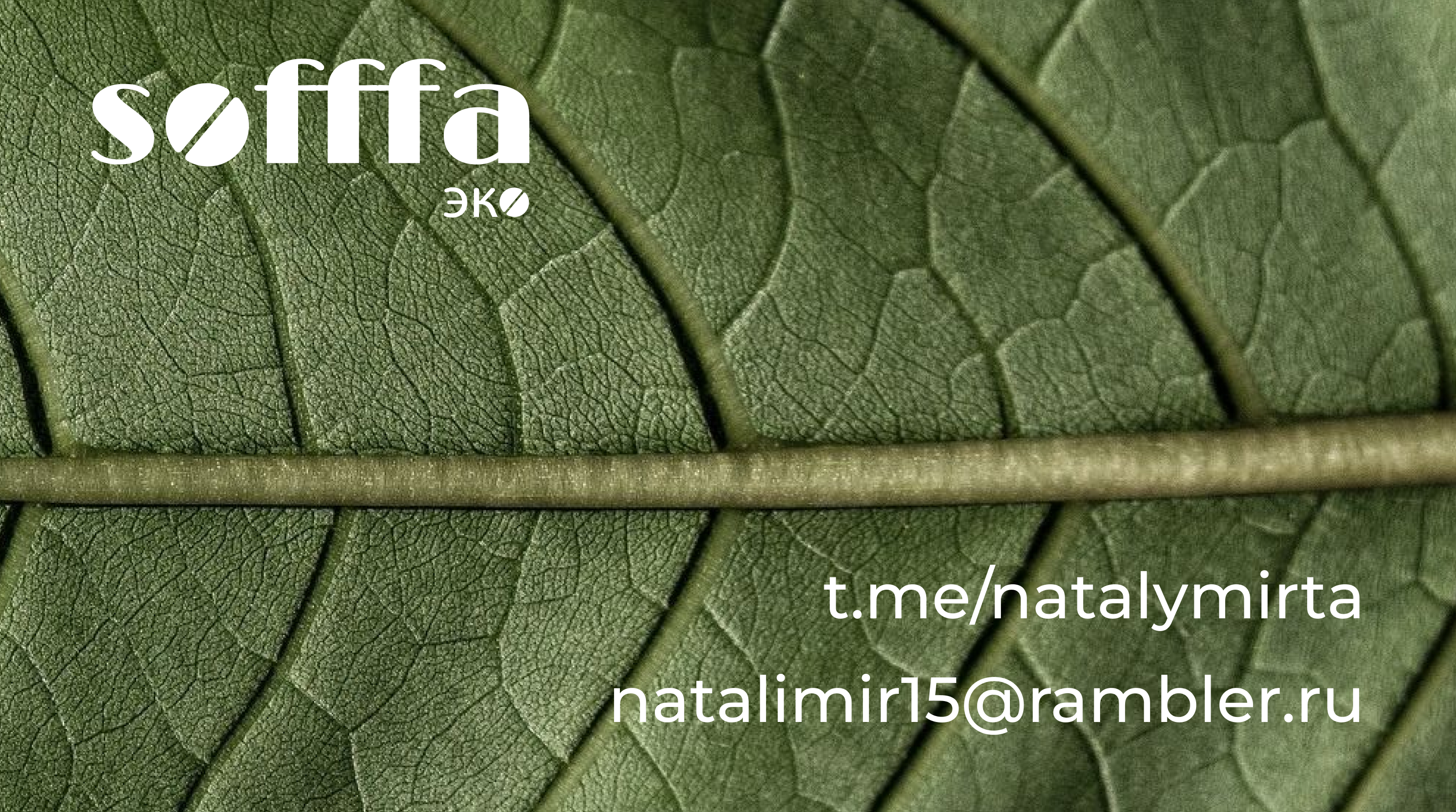 Разработка логотипа для кофейни — Изображение №12 — Брендинг, Графика на Dprofile