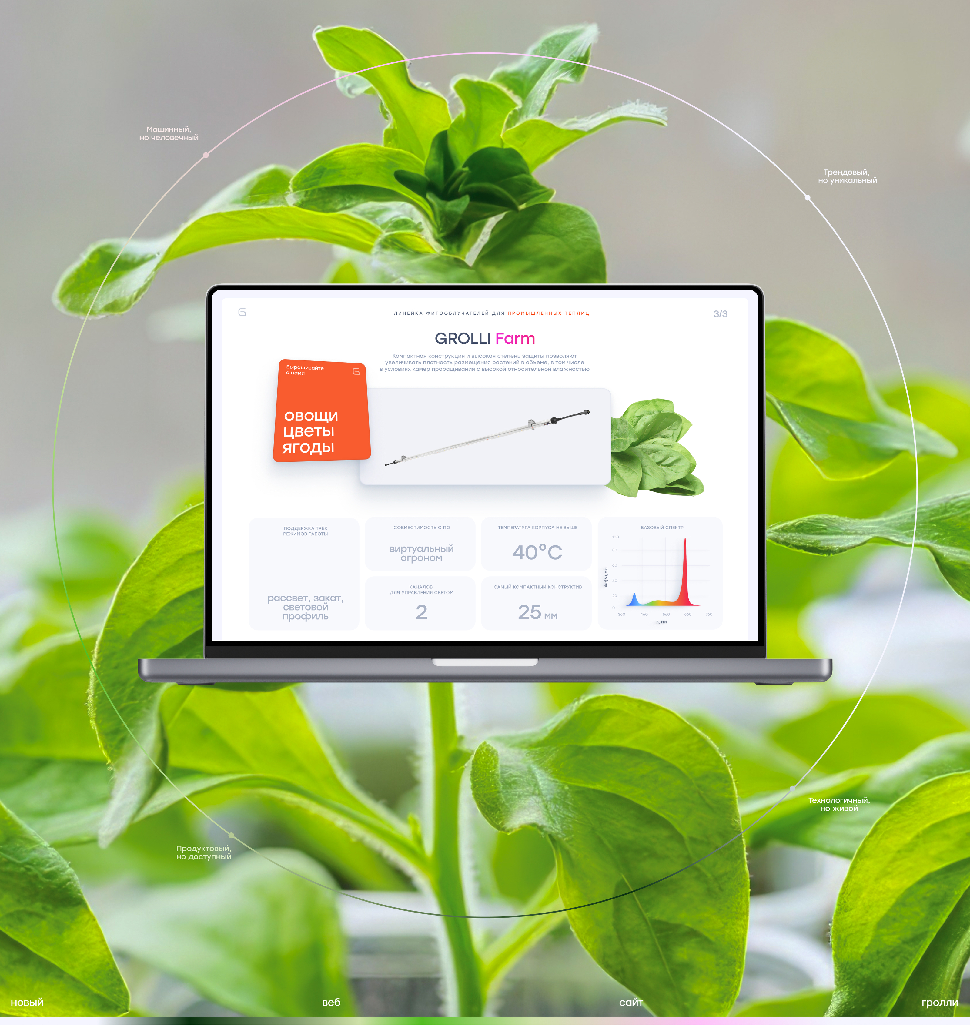 Grolli | Вертикальные фермы | Сайт — Изображение №3 — Интерфейсы, Брендинг на Dprofile