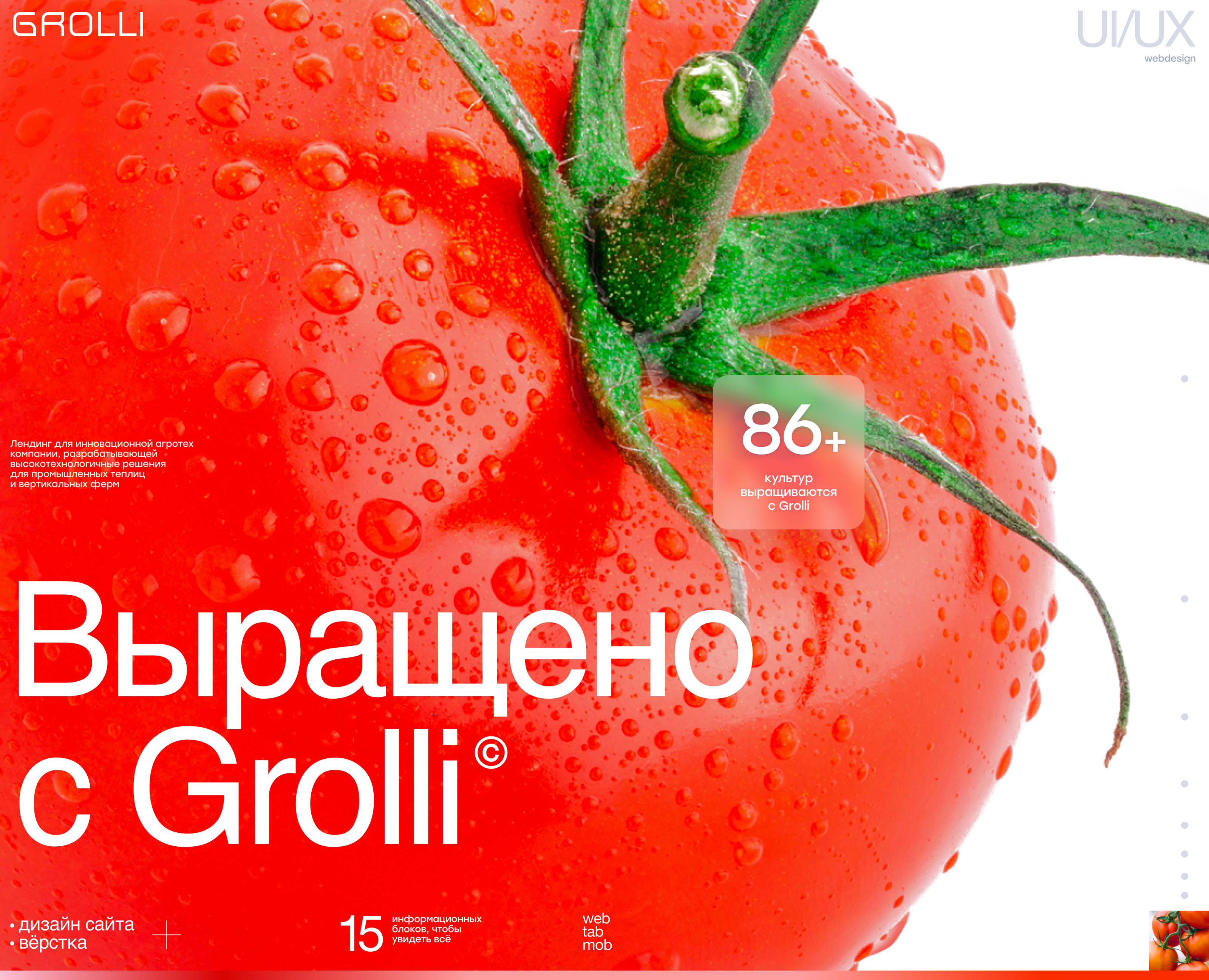 Grolli | Вертикальные фермы | Сайт — Изображение №1 — Интерфейсы, Брендинг на Dprofile