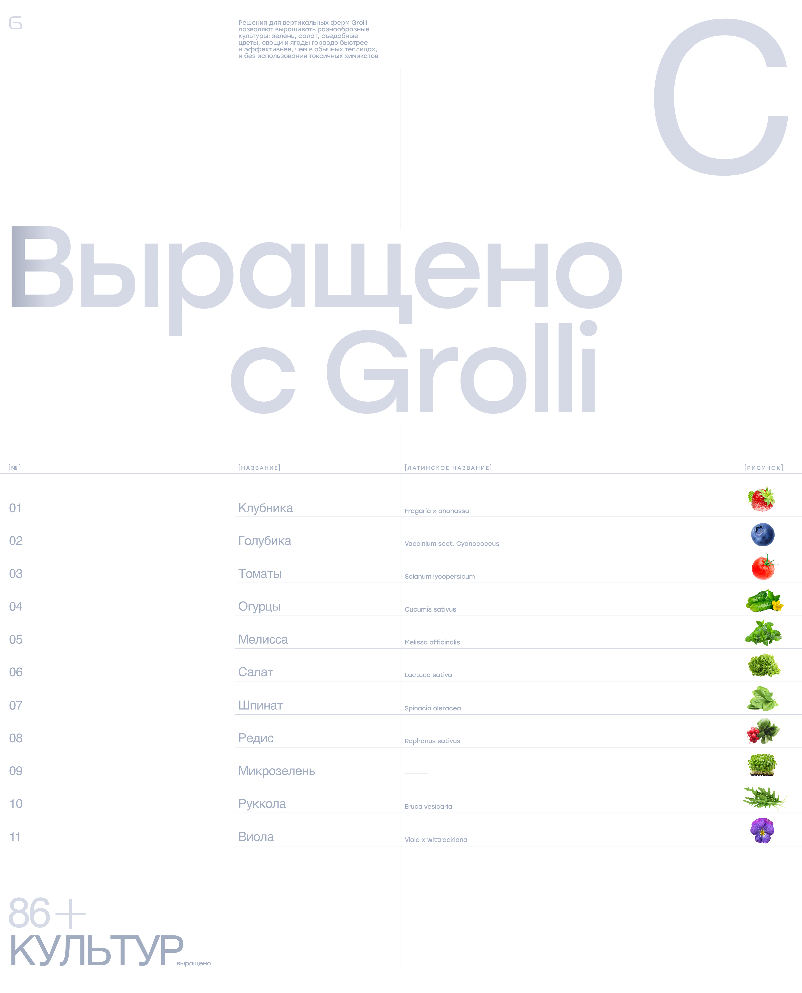 Grolli | Вертикальные фермы | Сайт — Изображение №8 — Интерфейсы, Брендинг на Dprofile