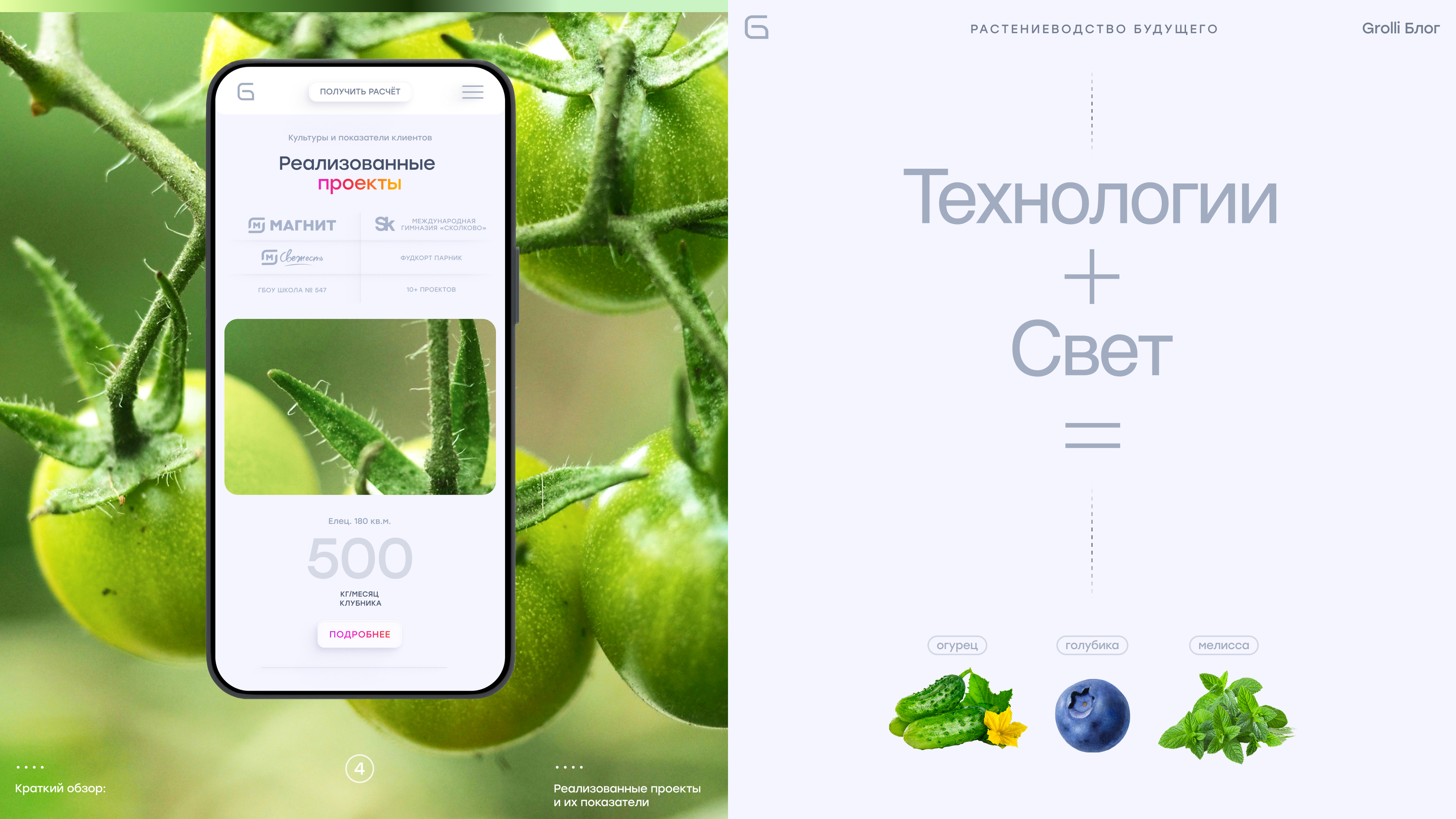 Grolli | Вертикальные фермы | Сайт — Изображение №9 — Интерфейсы, Брендинг на Dprofile