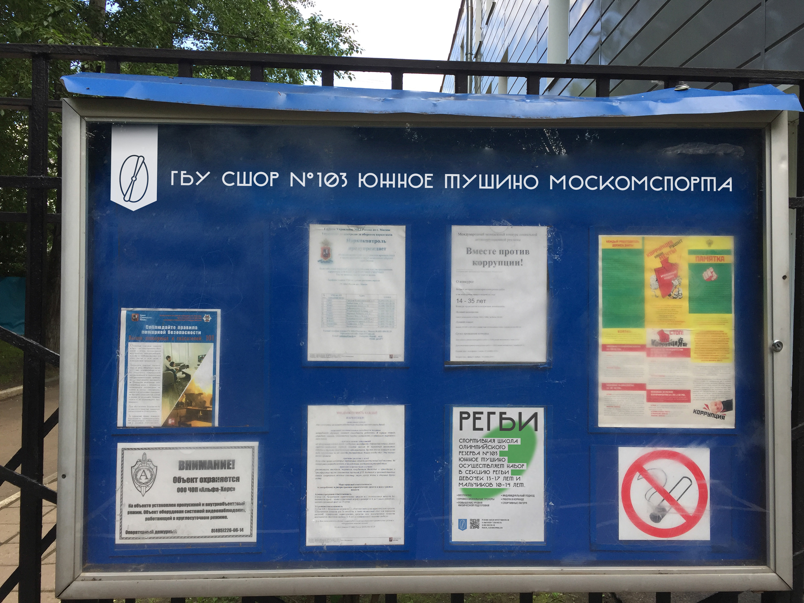 Регби Южное Тушино — Изображение №42 — Брендинг на Dprofile