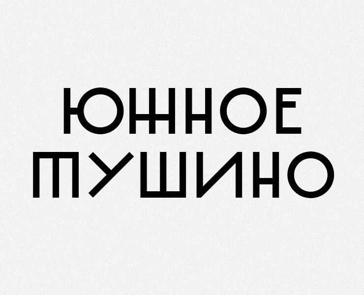 Регби Южное Тушино — Брендинг на Dprofile