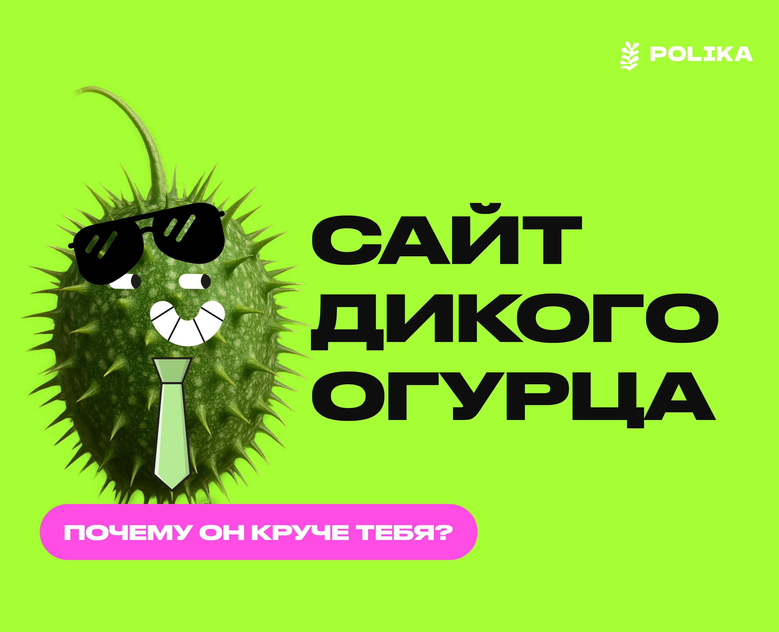 ДИКИЙ ОГУРЕЦ | а мог бы быть ты — Интерфейсы на Dprofile