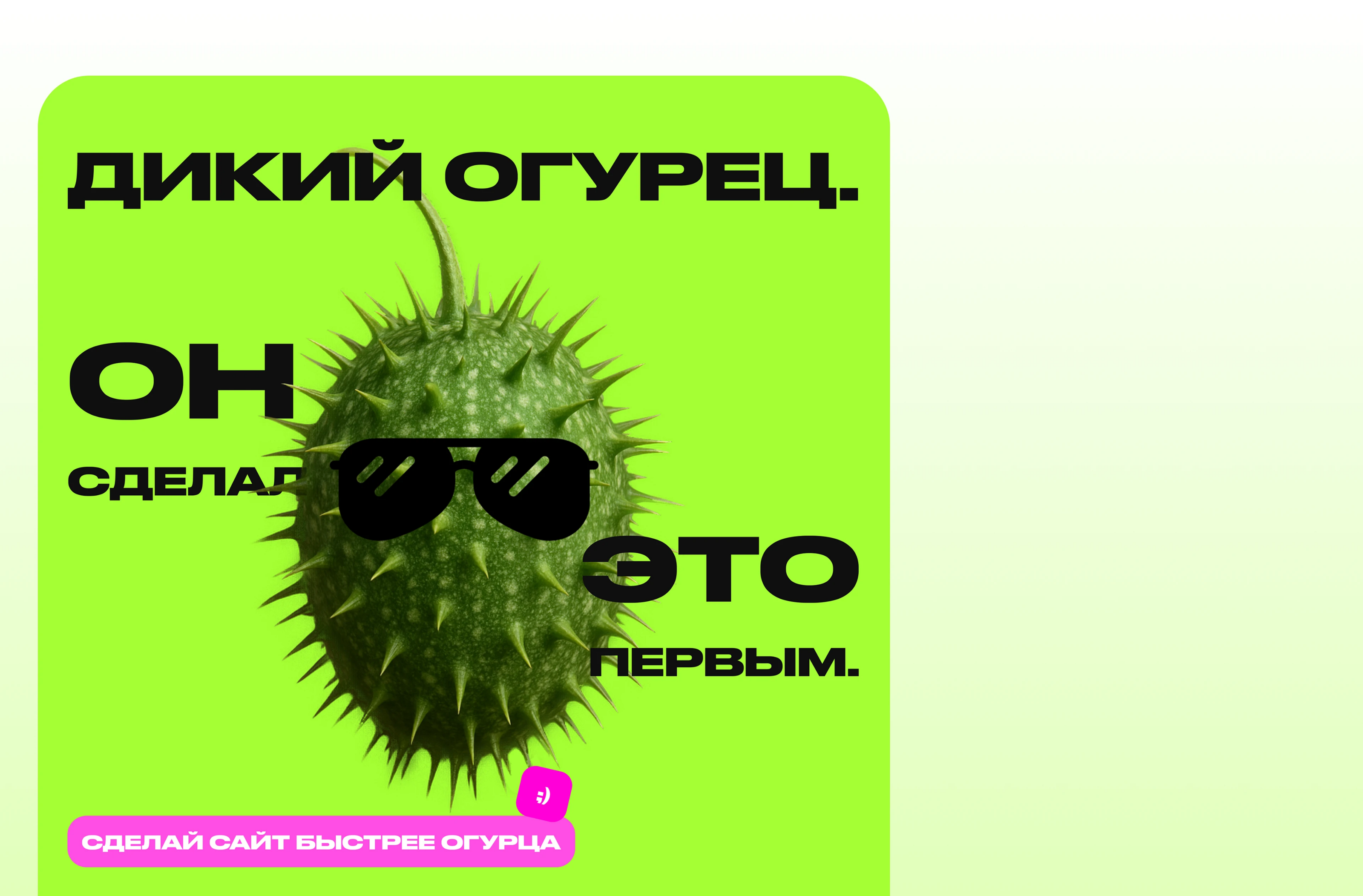 ДИКИЙ ОГУРЕЦ | а мог бы быть ты — Изображение №5 — Интерфейсы на Dprofile