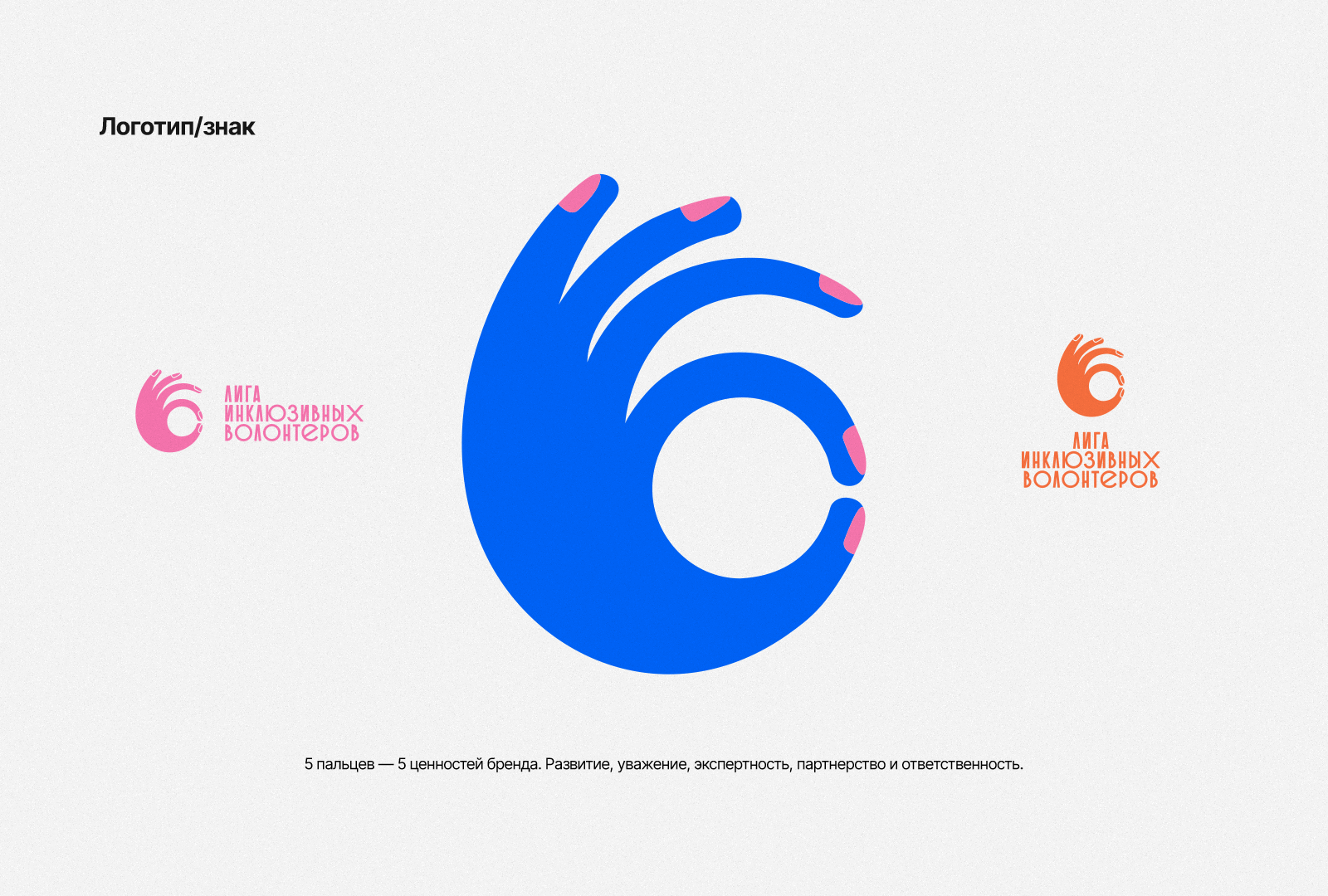 Лига инклюзивных волонтеров России — Изображение №3 — Брендинг на Dprofile