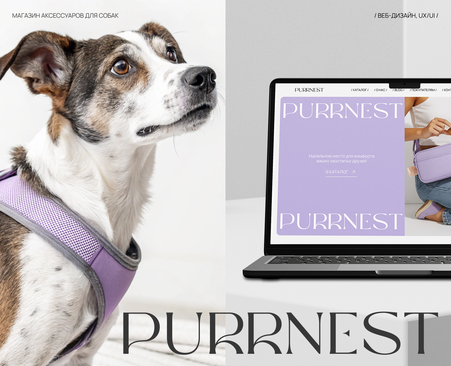 Purrnest online store — Интерфейсы на Dprofile