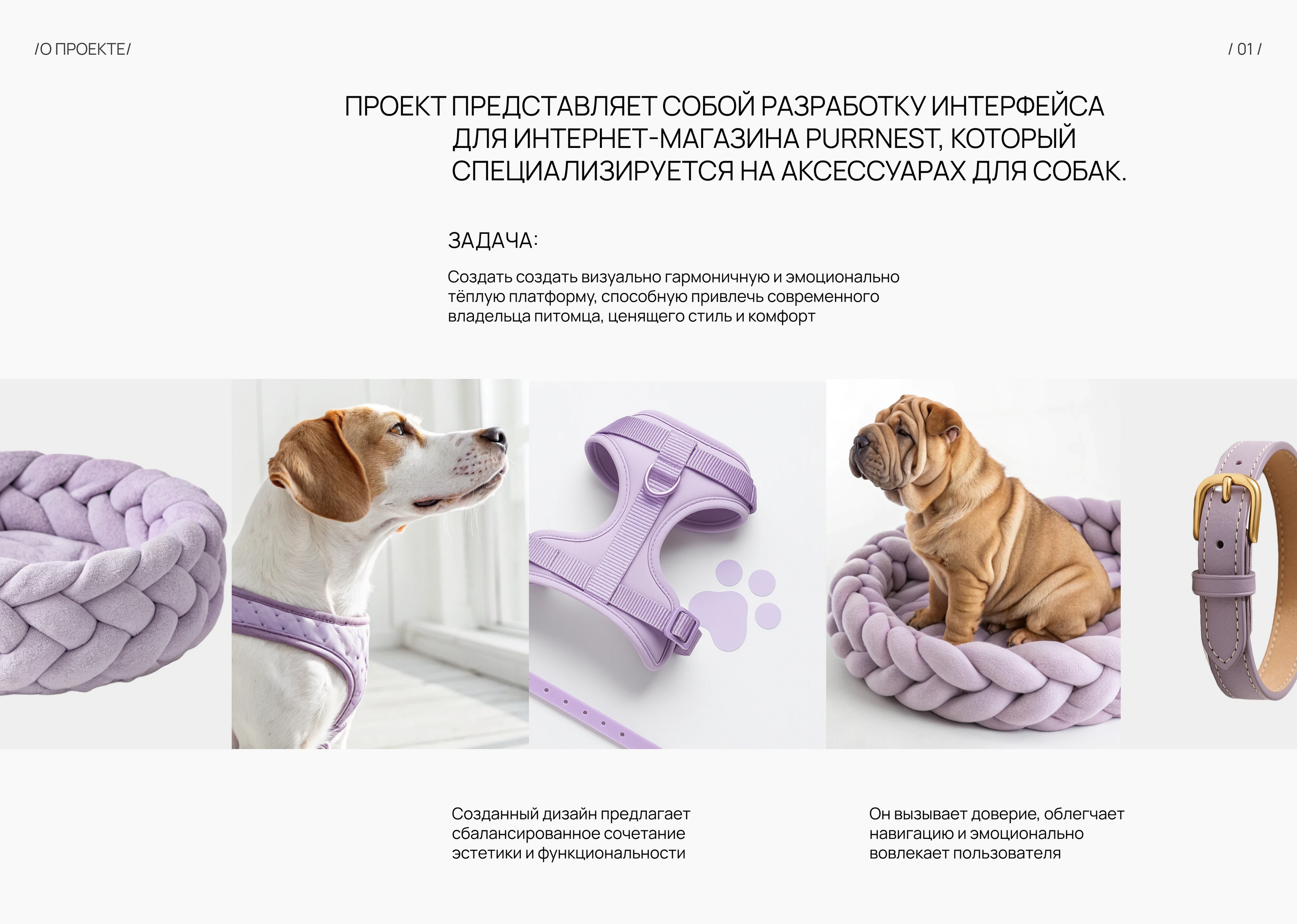 Purrnest online store — Изображение №2 — Интерфейсы на Dprofile