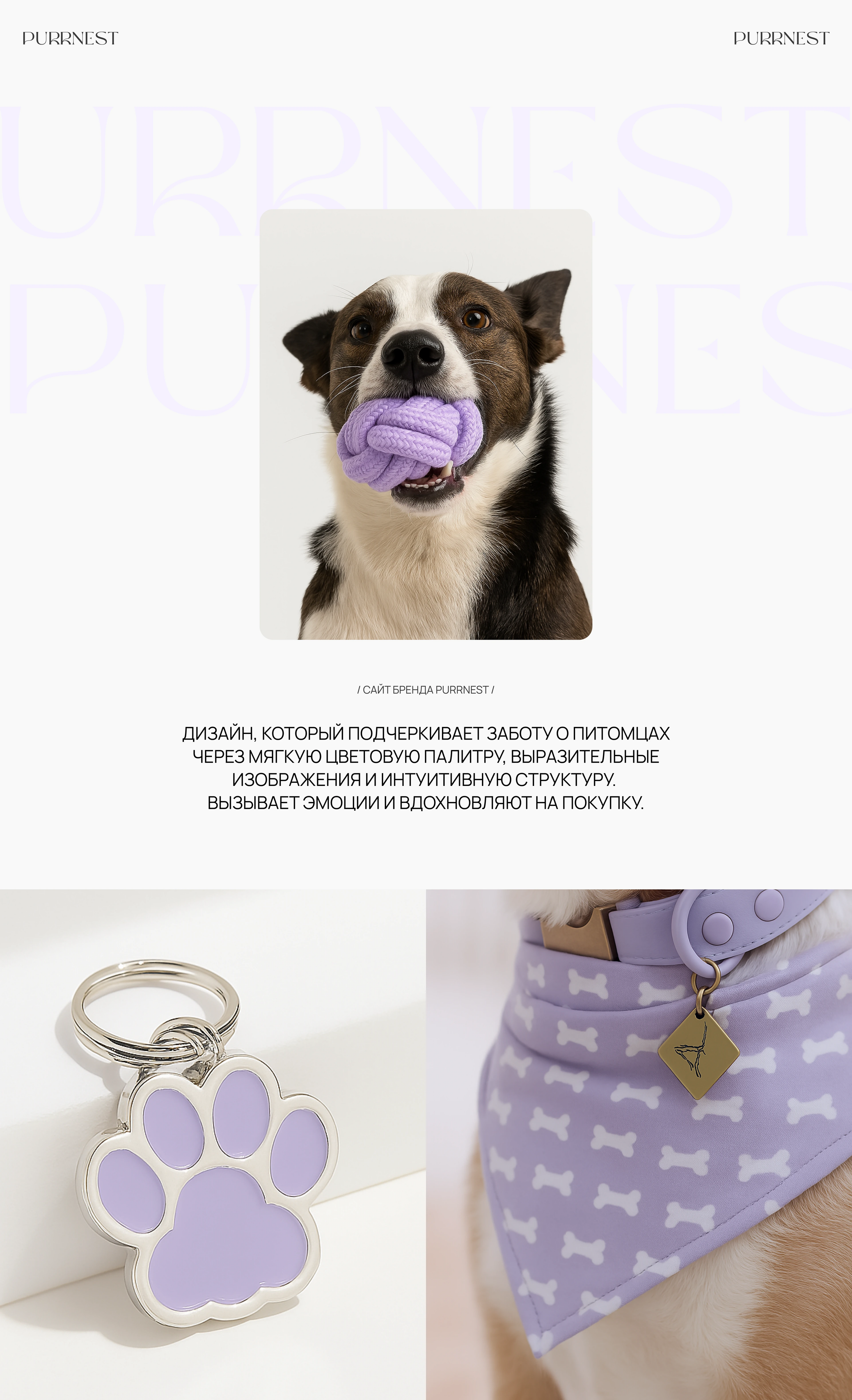 Purrnest online store — Изображение №9 — Интерфейсы на Dprofile