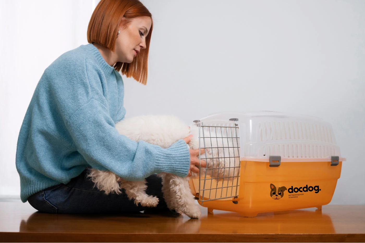 docdog.|Иллюстративный логотип для ветеринарной клиники — Изображение №1 — Брендинг, Иллюстрация на Dprofile