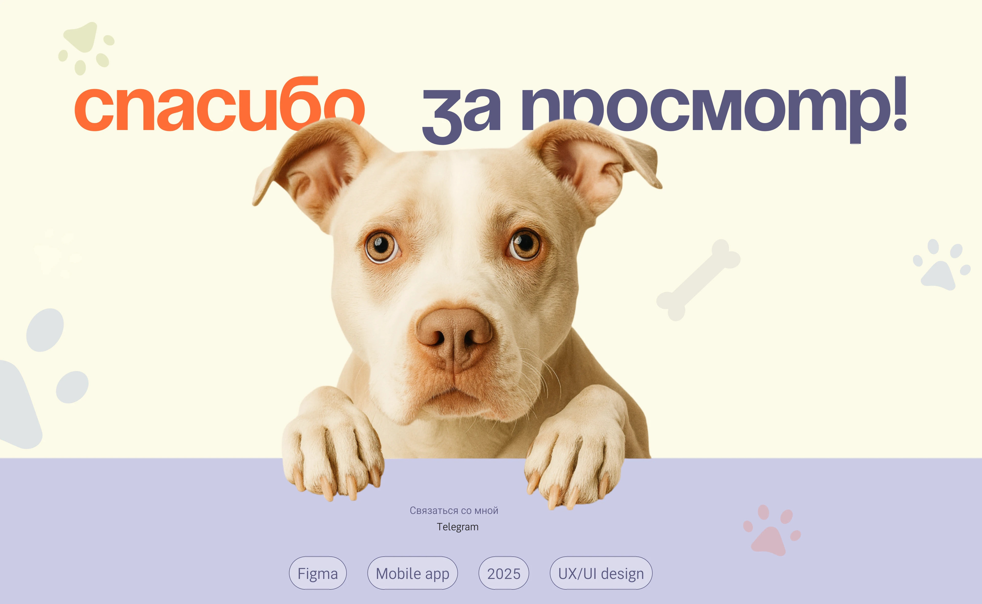 SmartTail mobile app — Изображение №16 — Интерфейсы на Dprofile