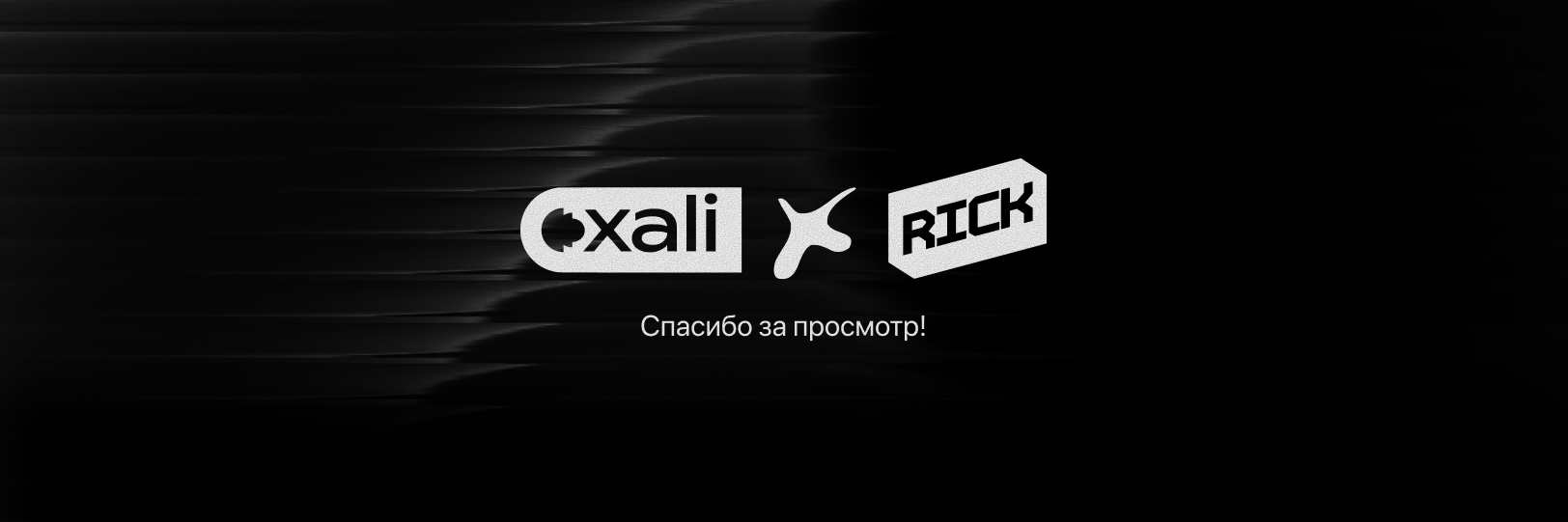 Xali Identity — Изображение №6 — Брендинг на Dprofile
