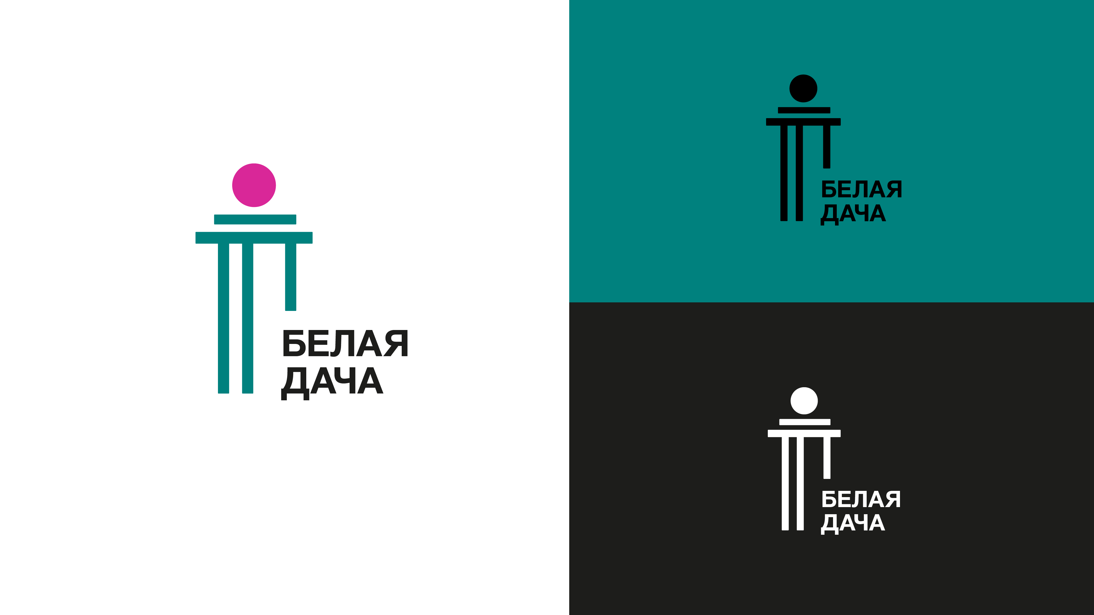 Логотип для района «Белая дача» — Изображение №5 — Брендинг на Dprofile