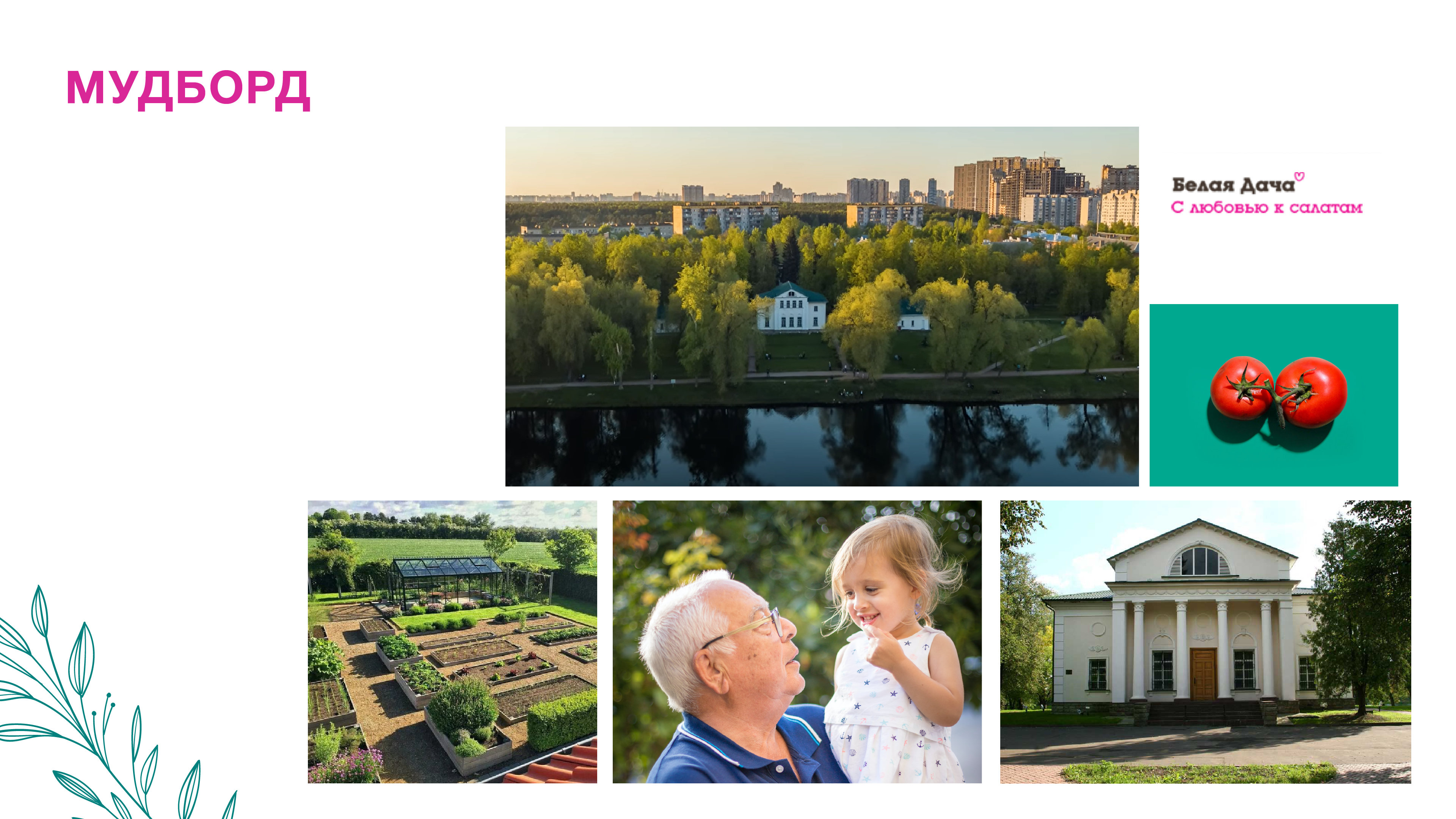 Логотип для района «Белая дача» — Изображение №3 — Брендинг на Dprofile