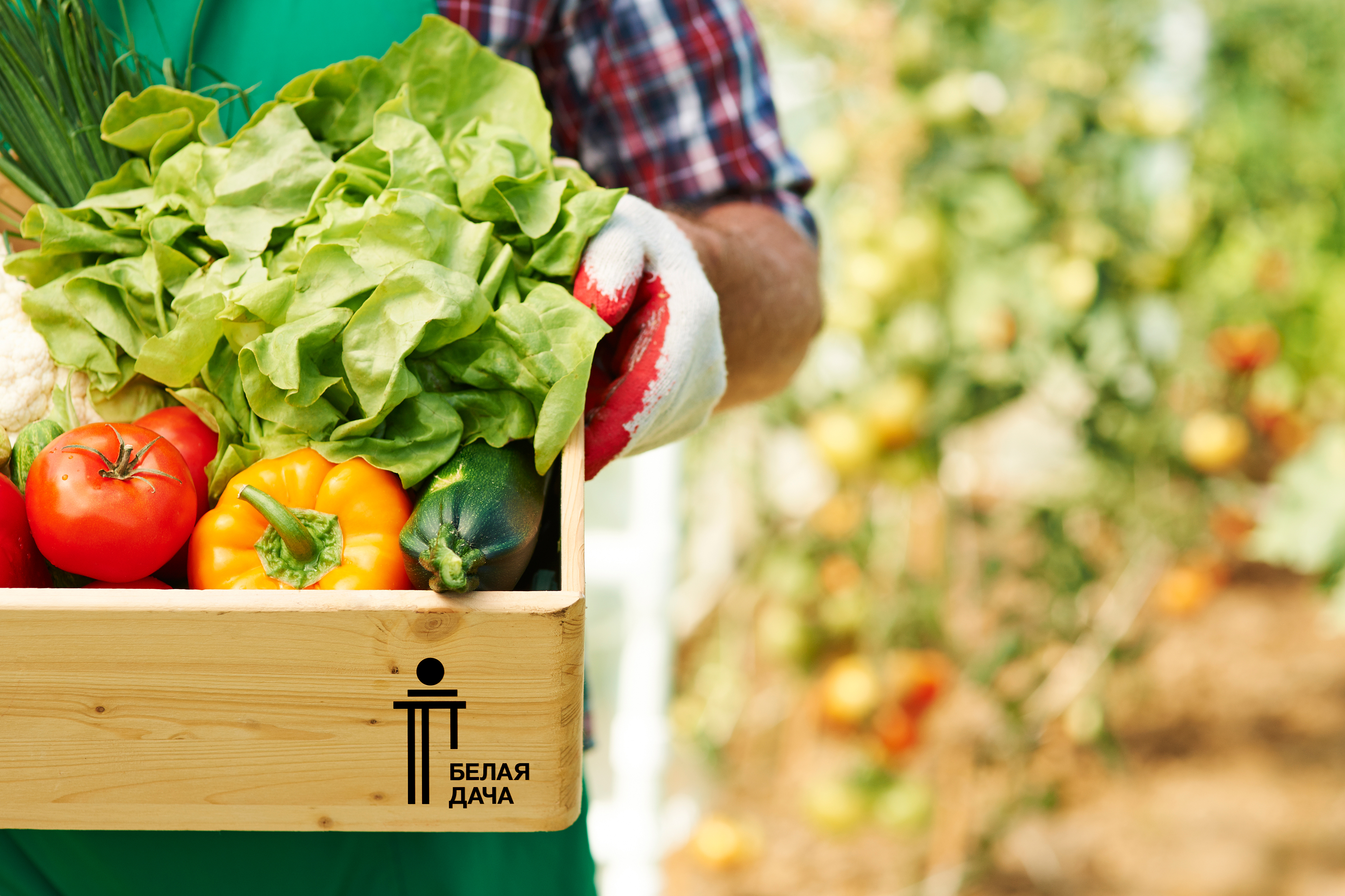 Логотип для района «Белая дача» — Изображение №10 — Брендинг на Dprofile