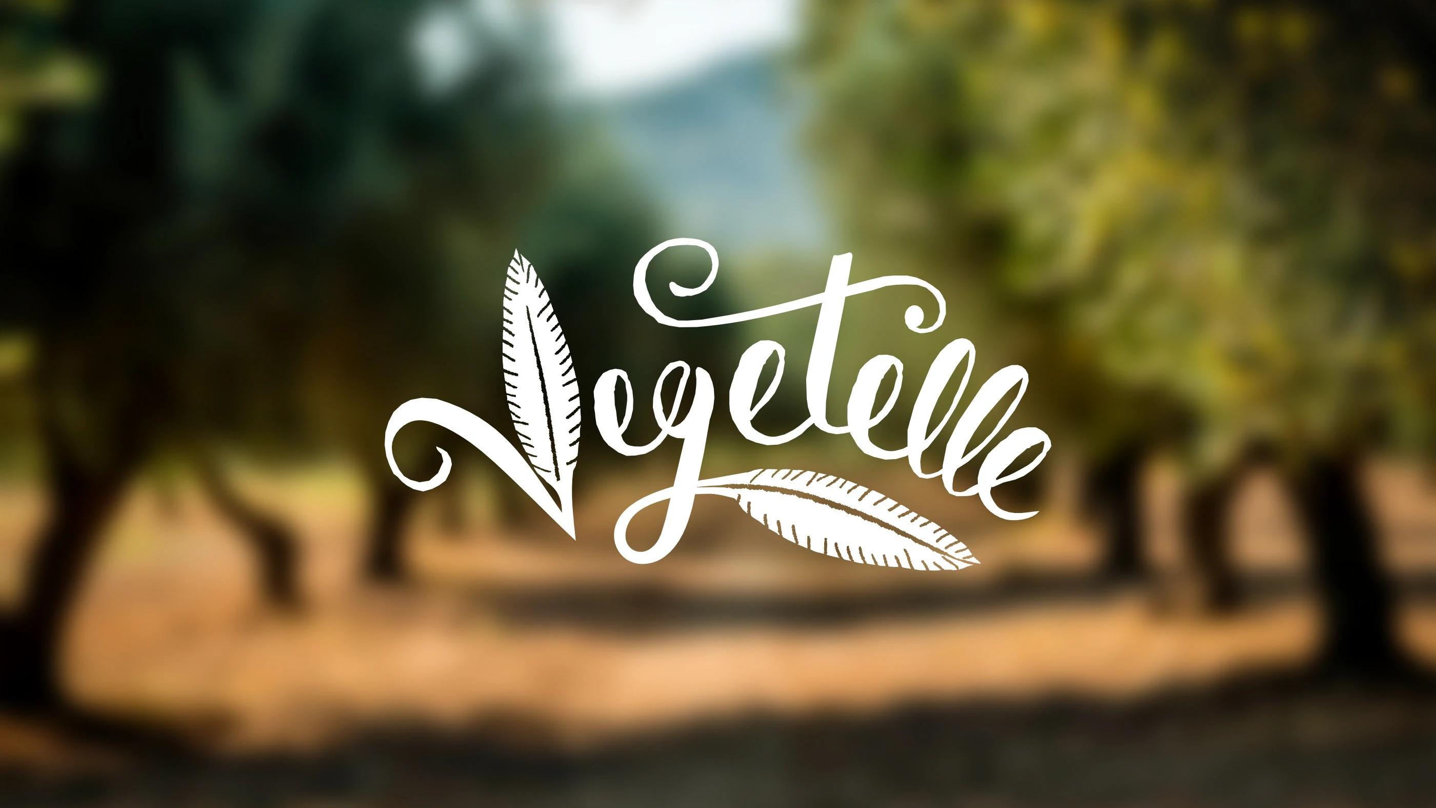 Нейминг и логотип FMCG бренда «Vegetelle» — Изображение №1 — Брендинг на Dprofile