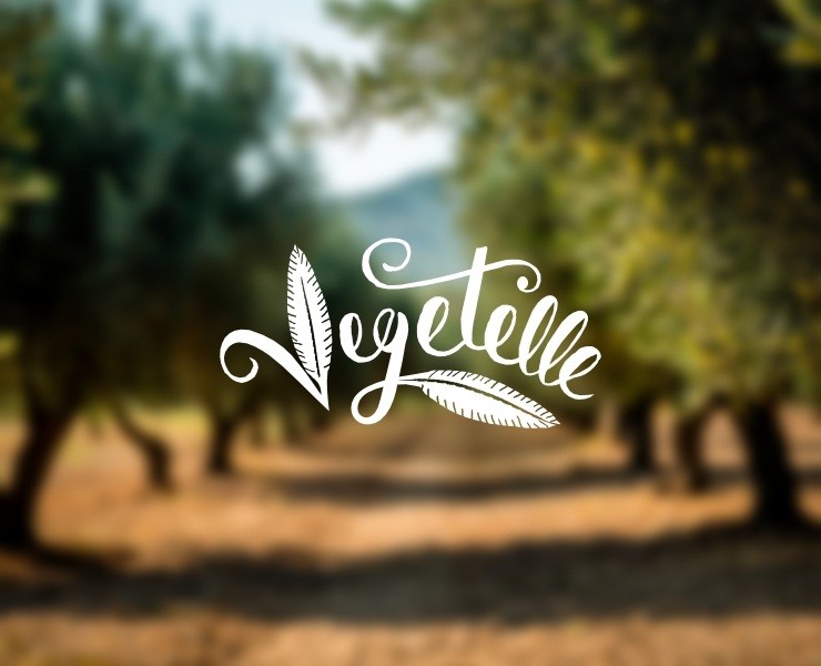 Нейминг и логотип FMCG бренда «Vegetelle» — Брендинг на Dprofile