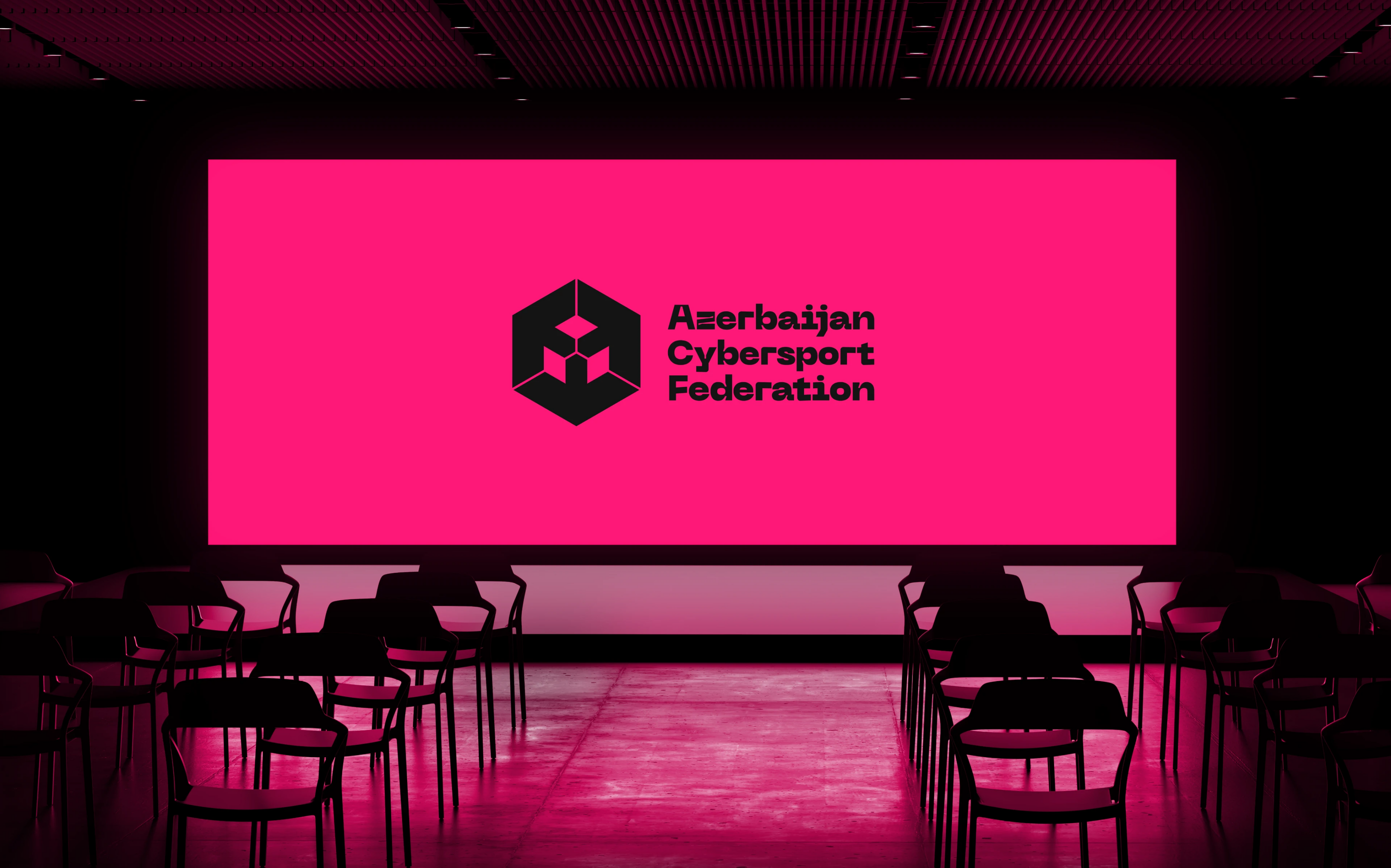 Azerbaijan Cybersport Federation - Brand Identity — Изображение №16 — Интерфейсы, Брендинг на Dprofile