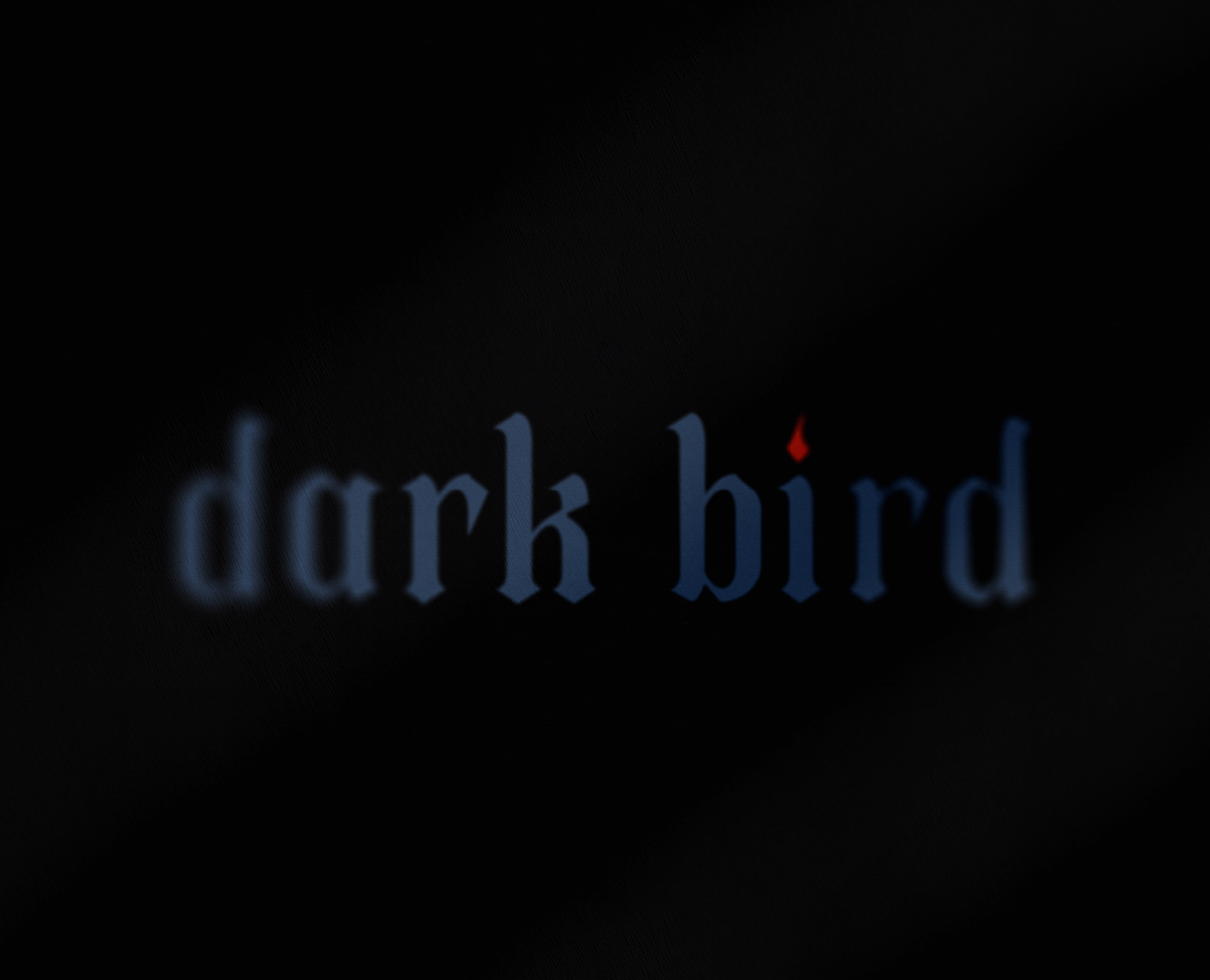 dark bird // айдентика для фотографа на Dprofile