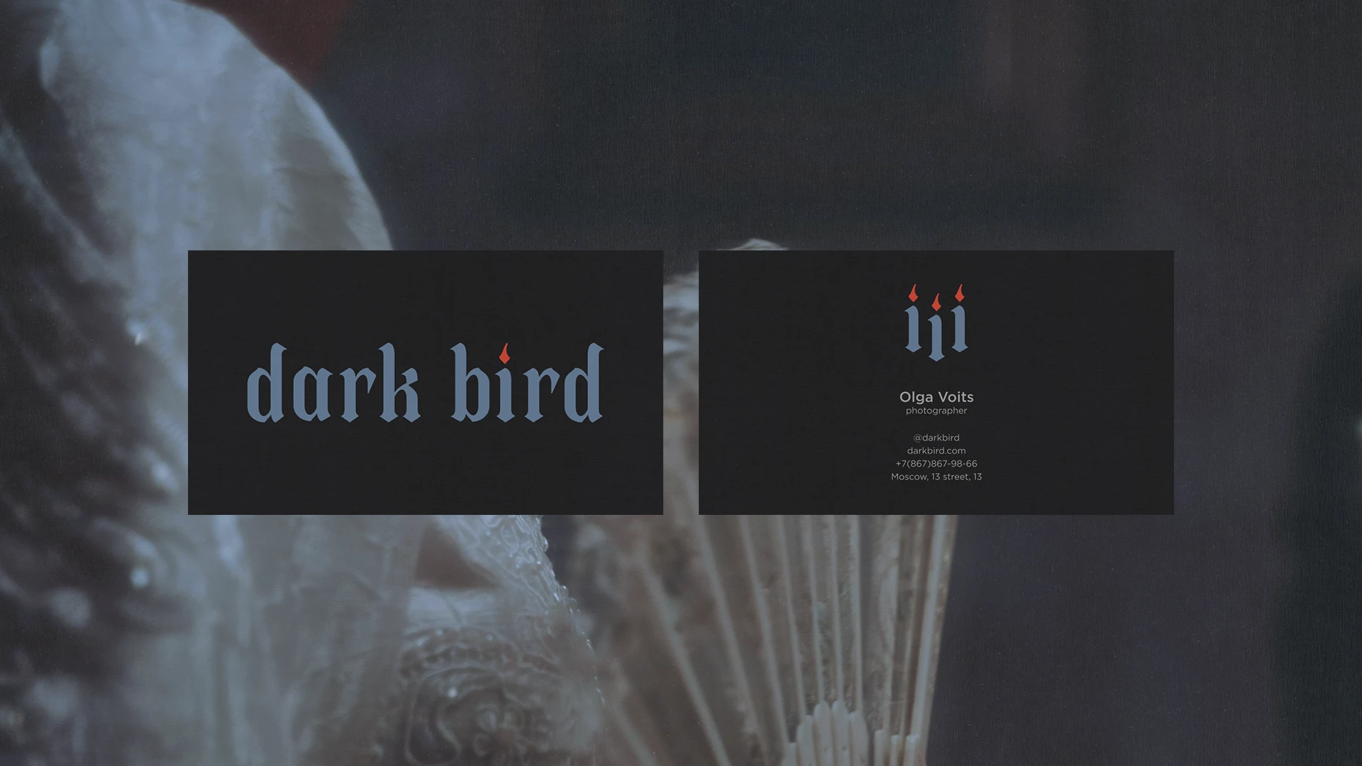 dark bird // айдентика для фотографа — Изображение №5 — Брендинг, Графика на Dprofile