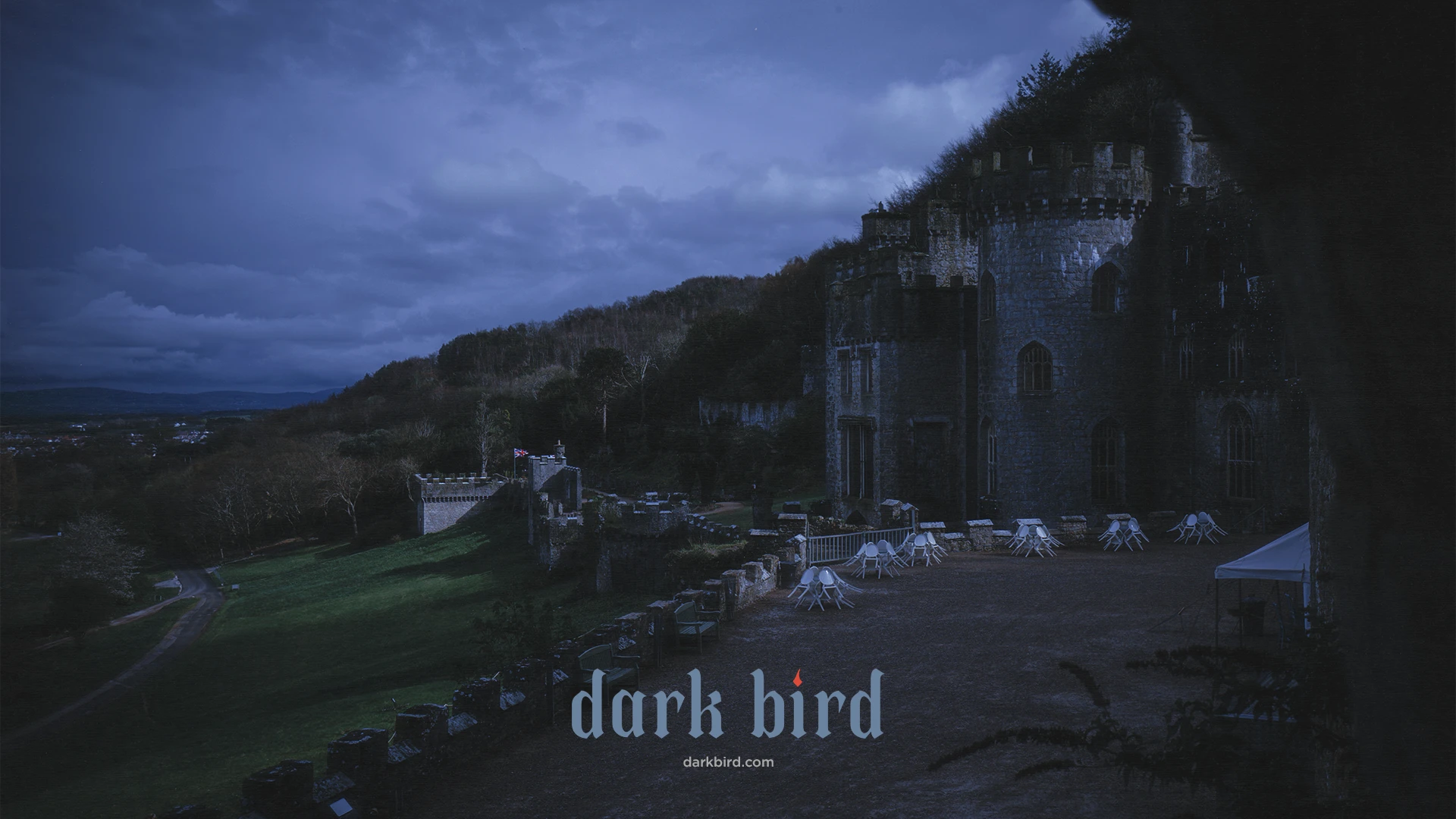 dark bird // айдентика для фотографа — Изображение №7 — Брендинг, Графика на Dprofile