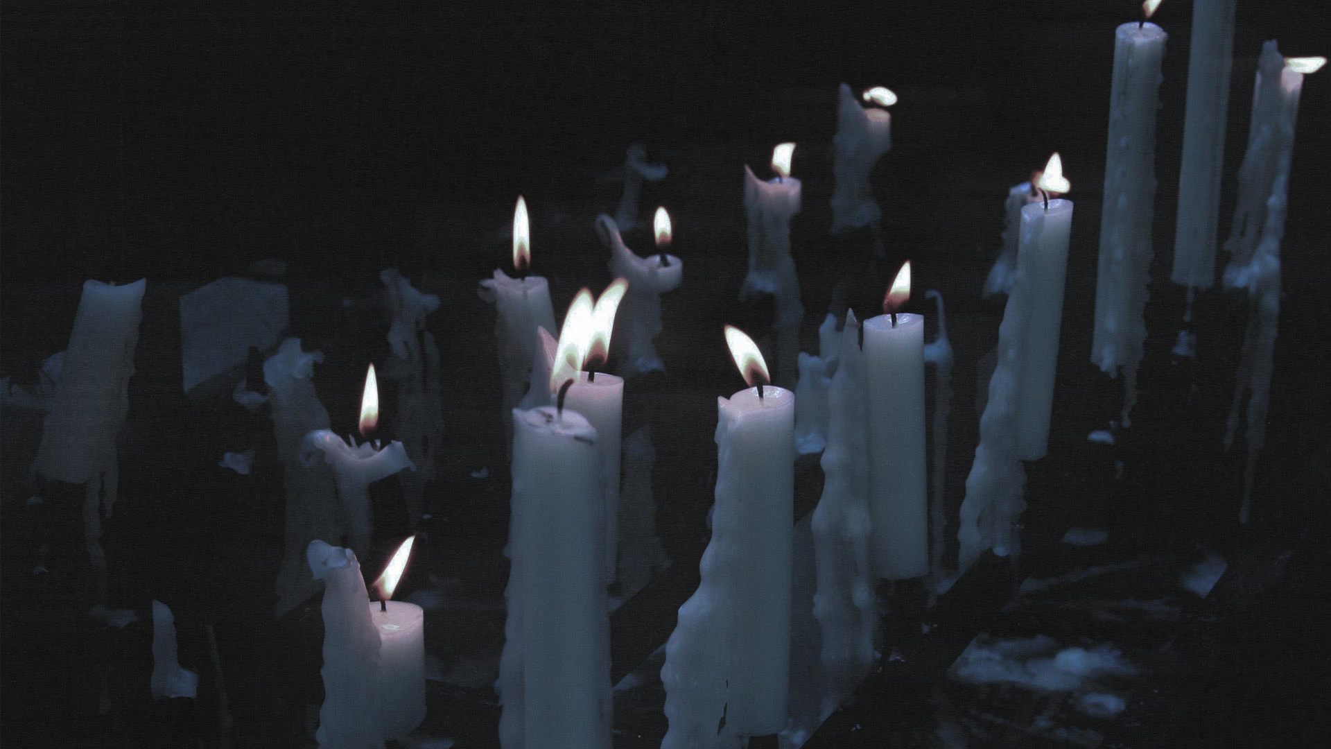 dark bird // айдентика для фотографа — Изображение №1 — Брендинг, Графика на Dprofile