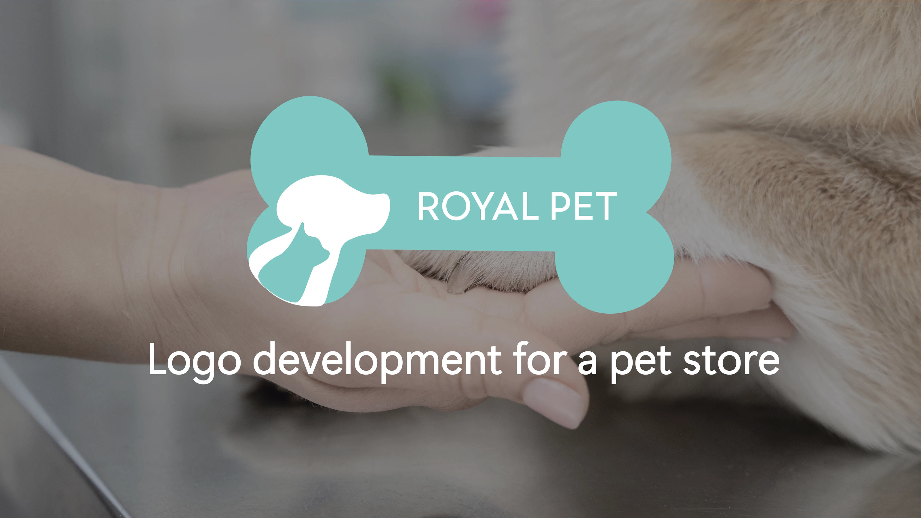 Logo development for a pet store — Изображение №1 — Брендинг на Dprofile