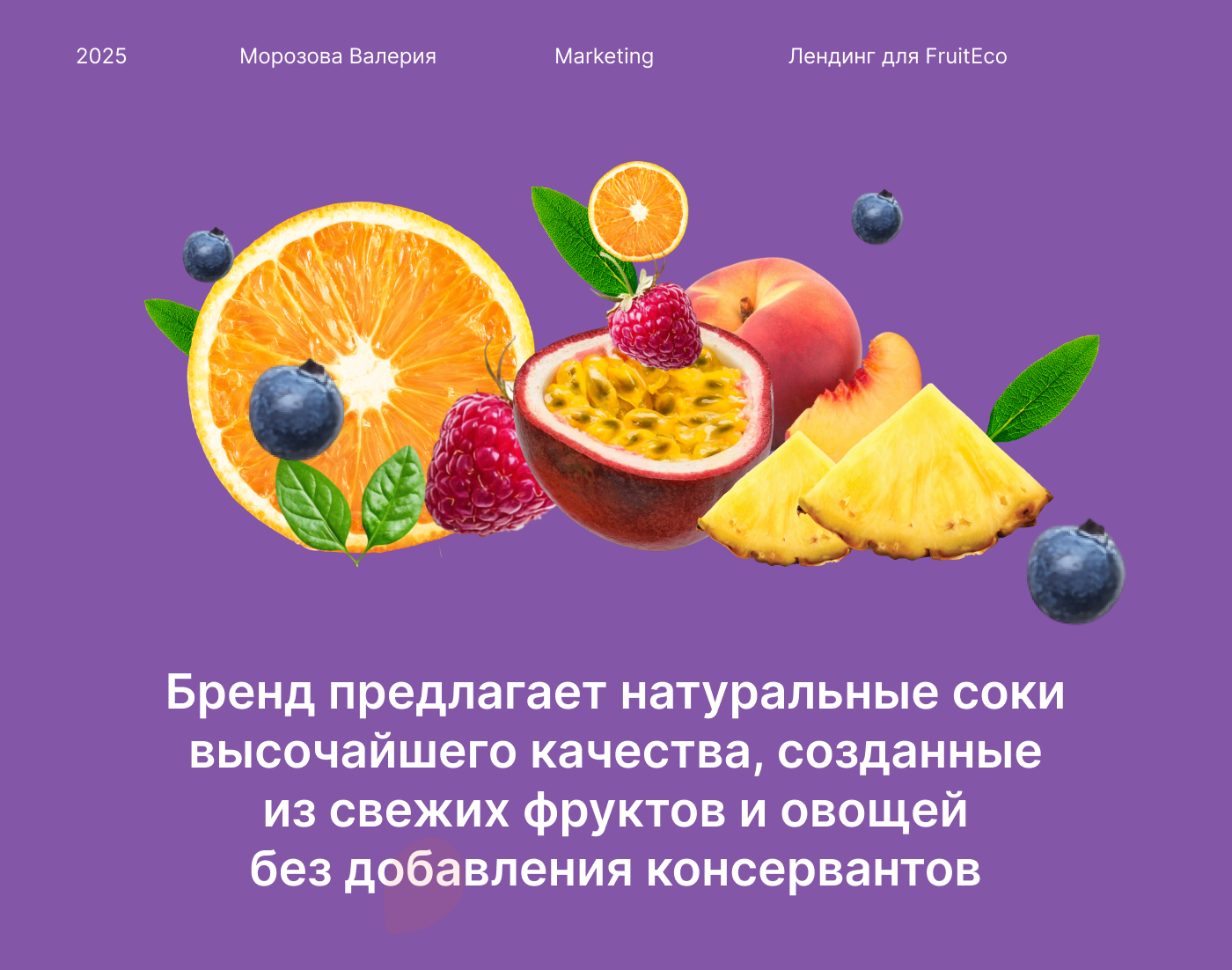 Лендинг для FruitEco — Изображение №1 — Интерфейсы, Графика на Dprofile