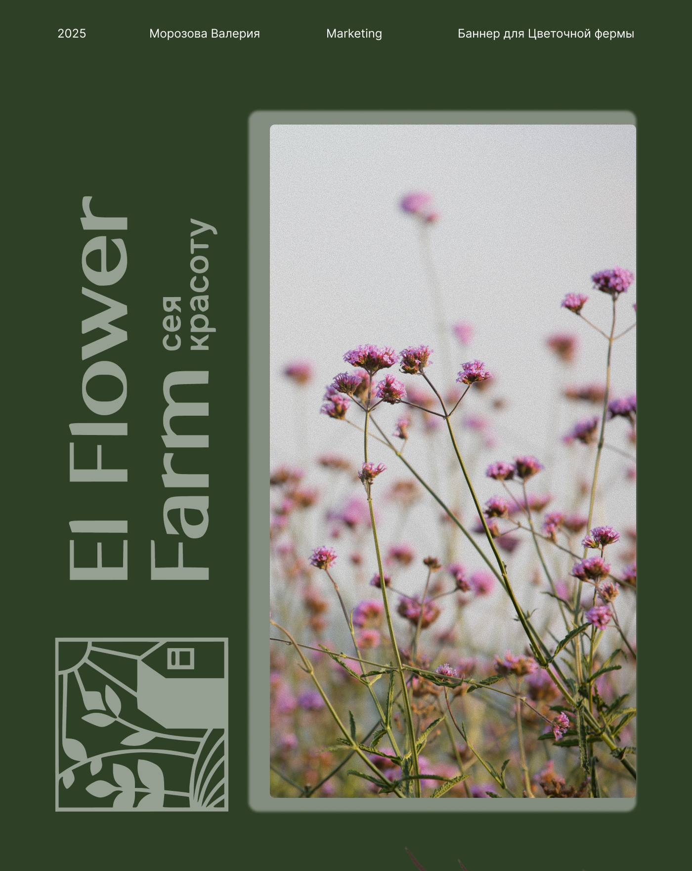 Баннеры для Цветочной фермы — Изображение №1 — Интерфейсы, Брендинг на Dprofile