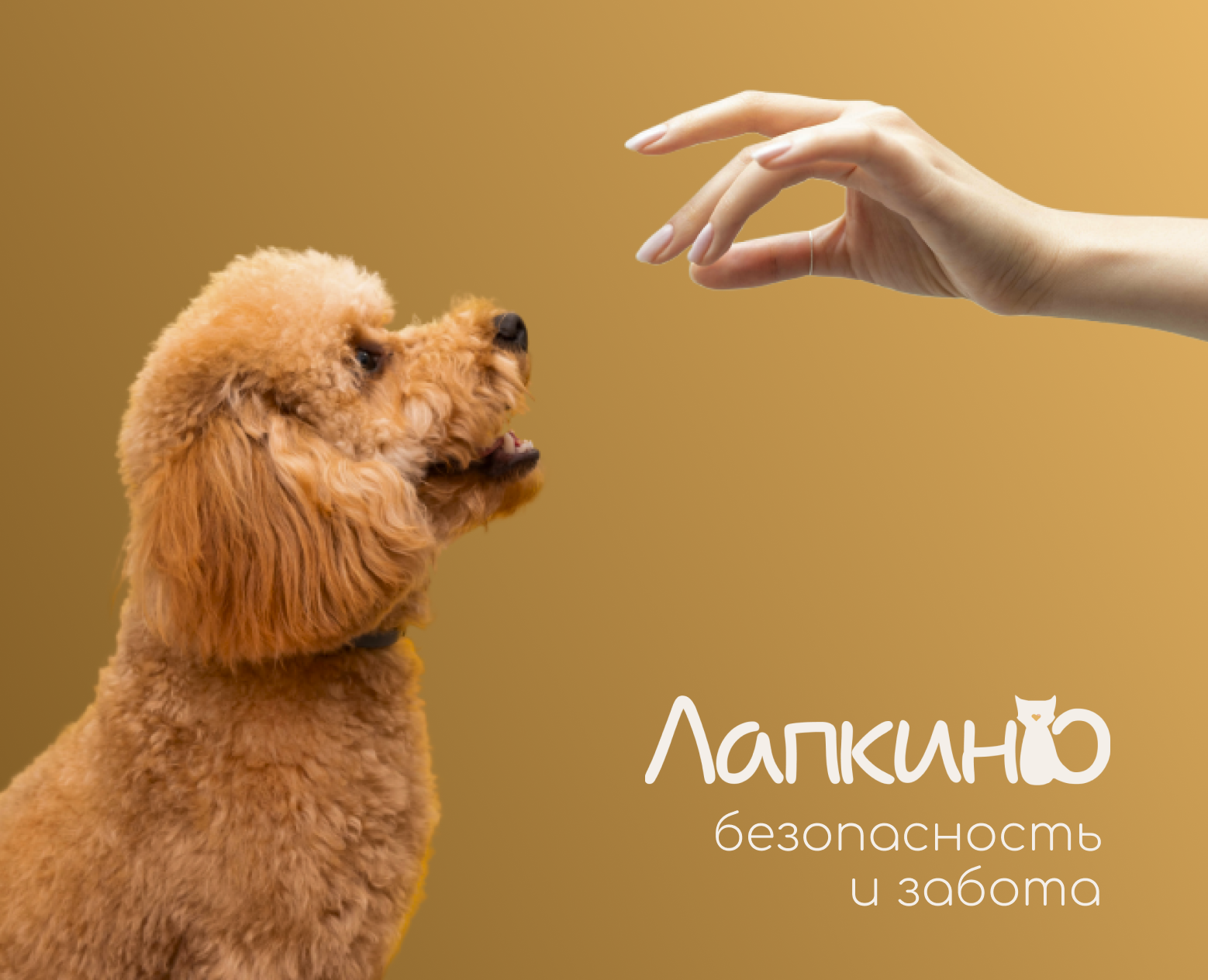 Дизайн логотипа для груминг-салона «Лапкино» — Брендинг на Dprofile